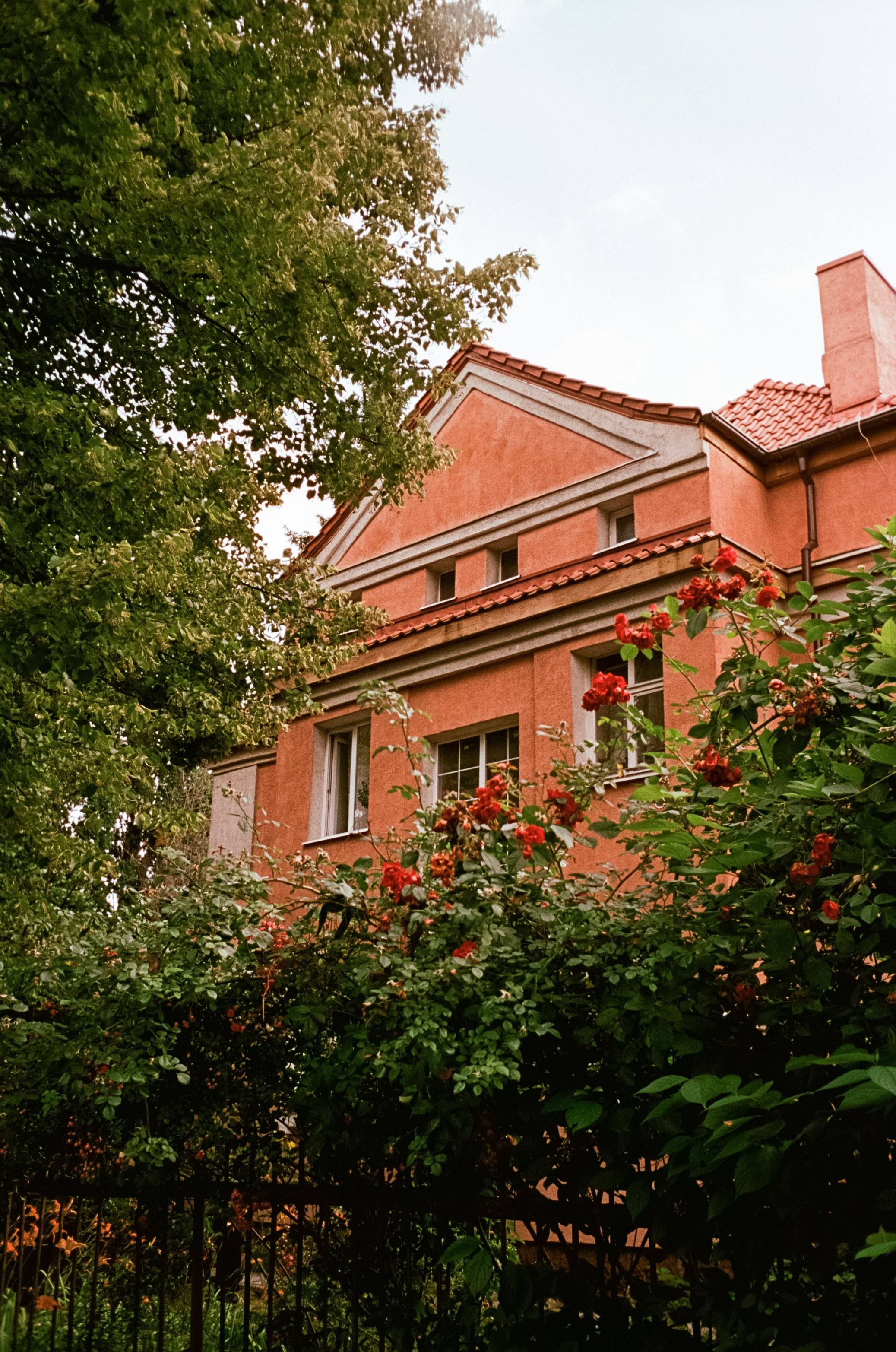 Калининград в солнечный день 7 июля 2024 года / Aerocolor IV / Minox 35GT (2)