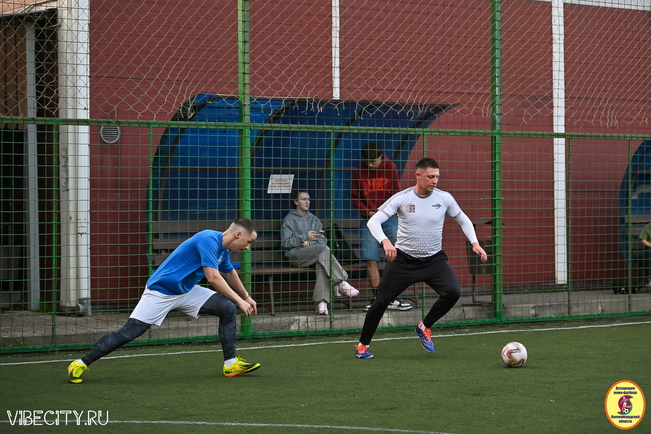 ИГРЫ ПЛЕЙ-ОФФ ПЕРВОГО ДИВИЗИОНА МИНИ-ФУТБОЛЬНОЙ ЛИГИ. VIBECITY.RU Вайб Сити Ру Фоторепортажи Фотоотчеты Калининград