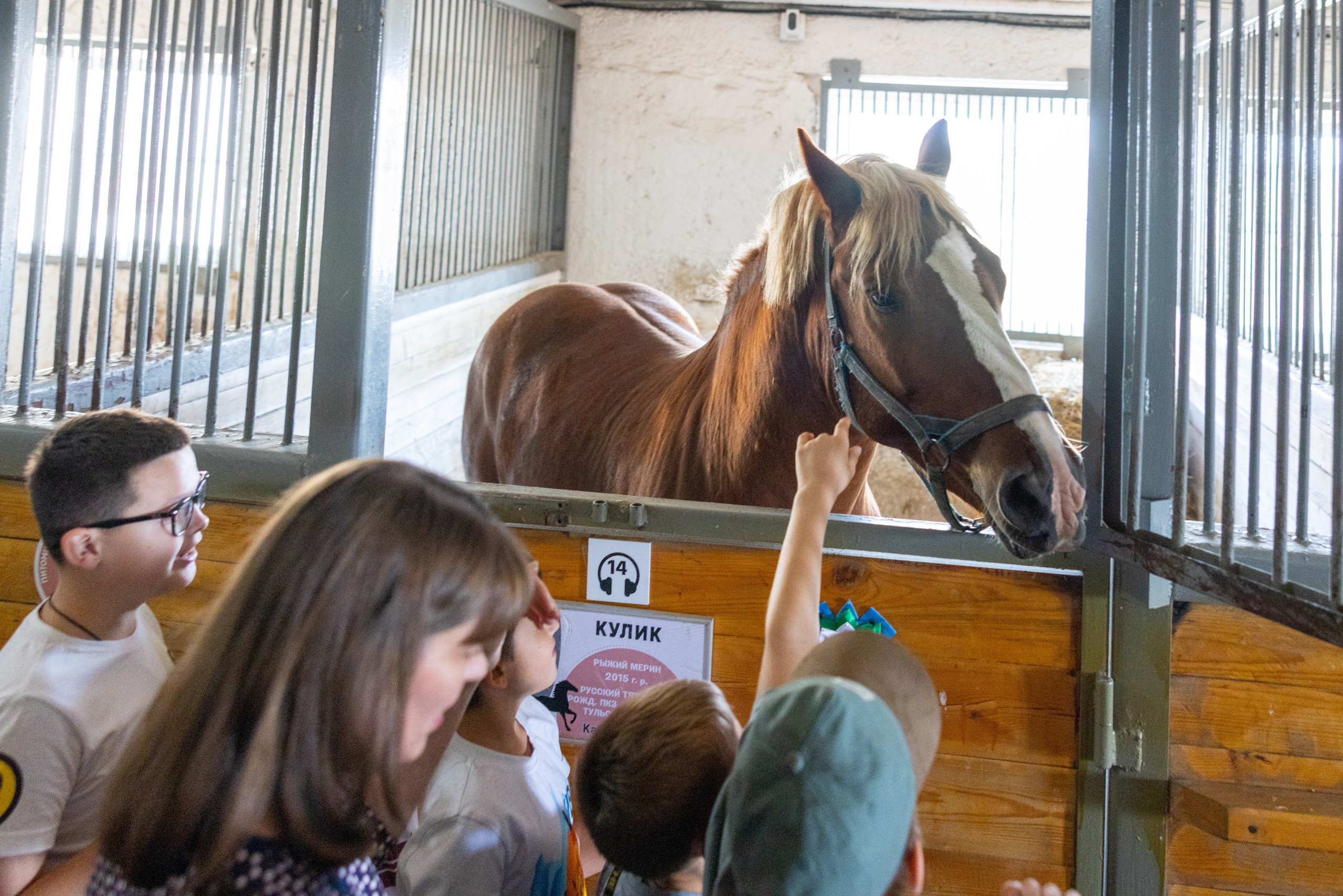 Поездка на поле Кулеково. Фотограф в Туле Крупский АнДРей. Фотостудия «КАДР71» в Туле