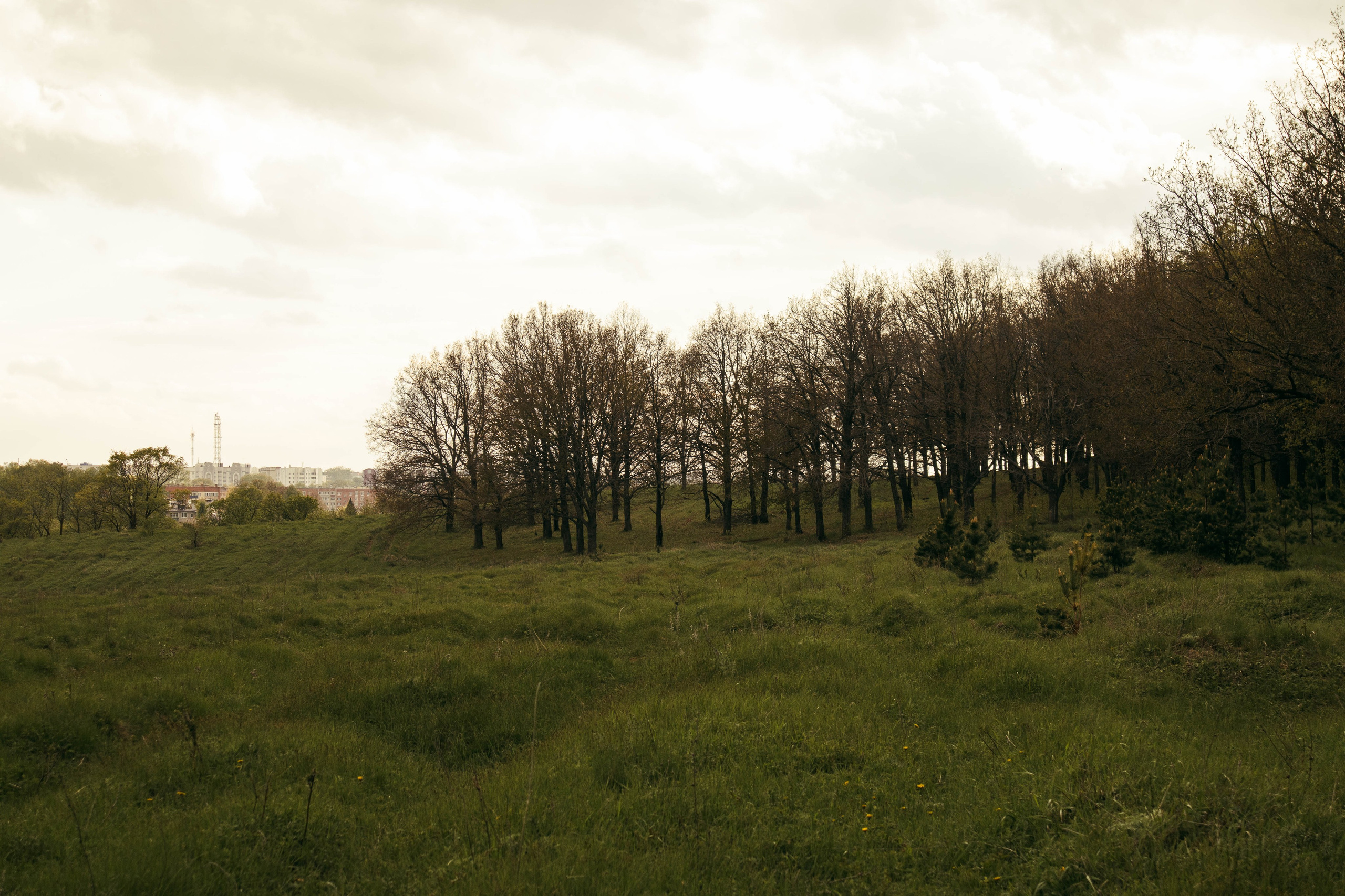 Сокольская гора. Фотограф и видеограф в Бугульме Аня Трутнева