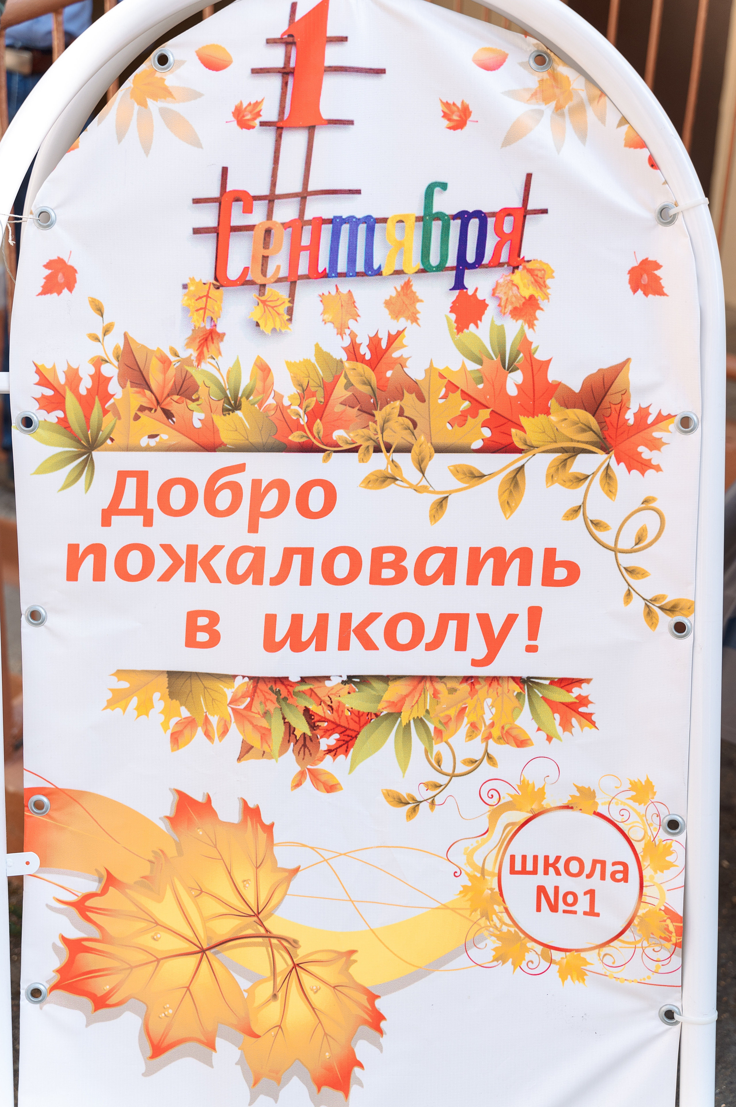 ОТЗЫВЫ. Семейный, свадебный, школьный фотограф в Железногорске Целуев Андрей