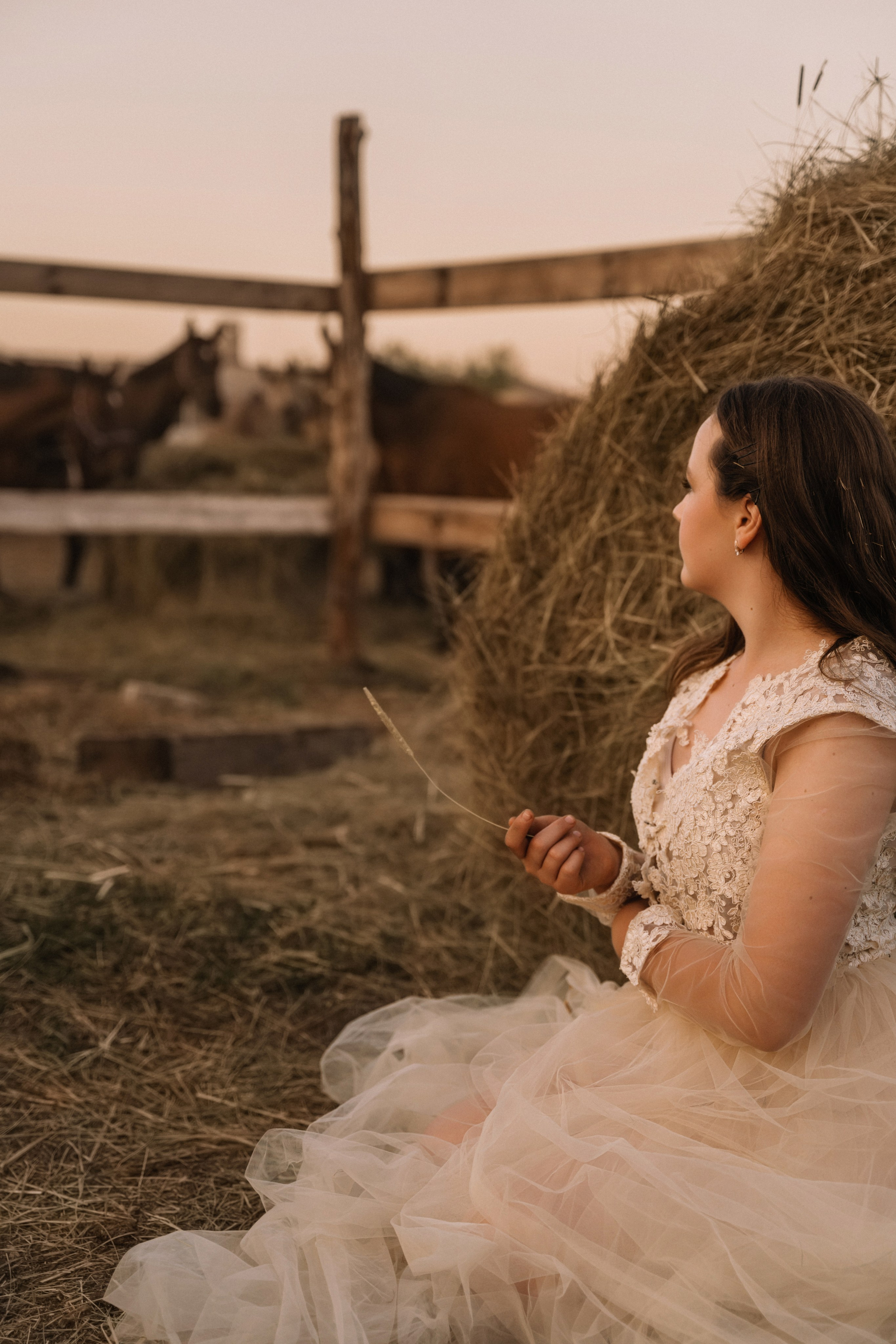 Евгения. Фотосессия с лошадьми. Семейный фотограф в Белгороде Амелина Алина
