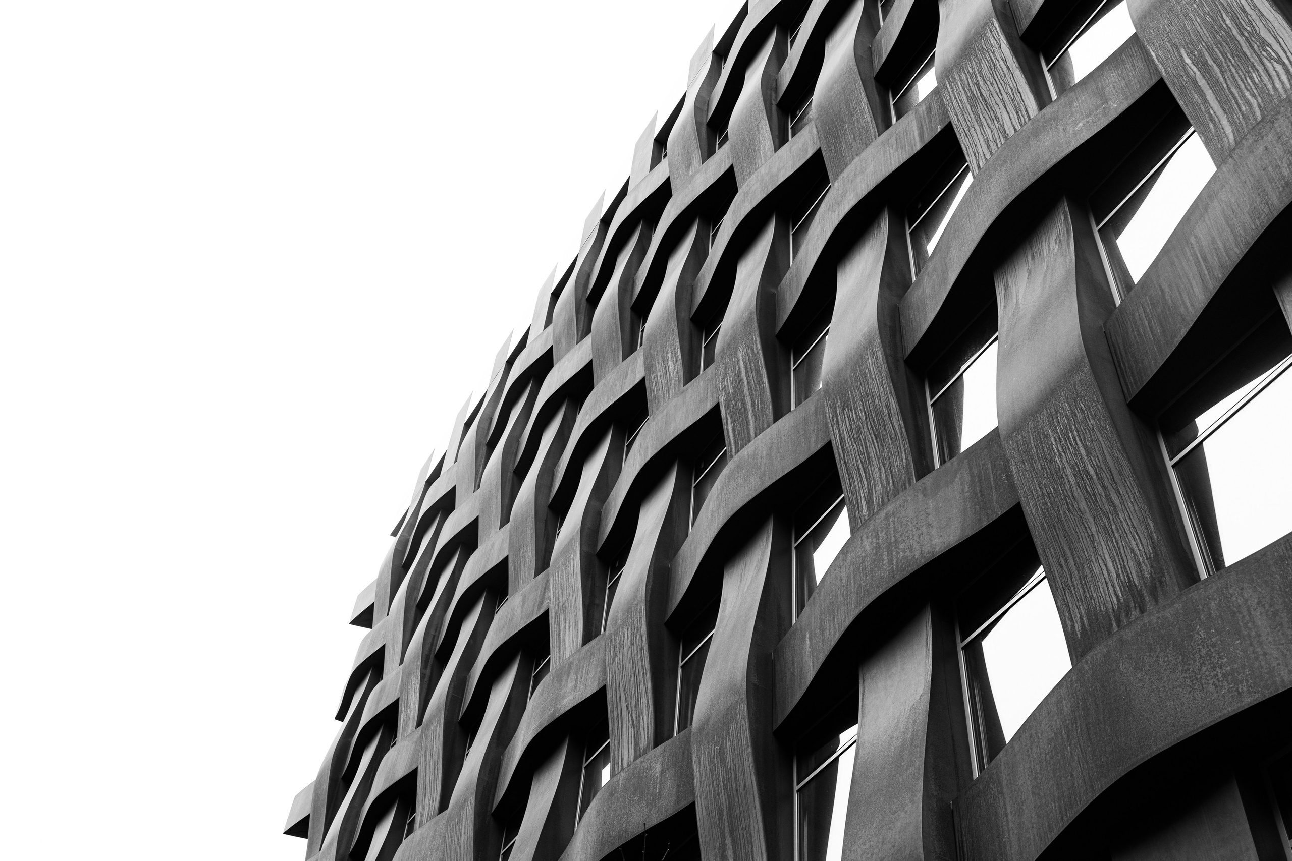 Пейзаж. Фотограф Твердохлебова Дарья, г. Санкт-Петербург