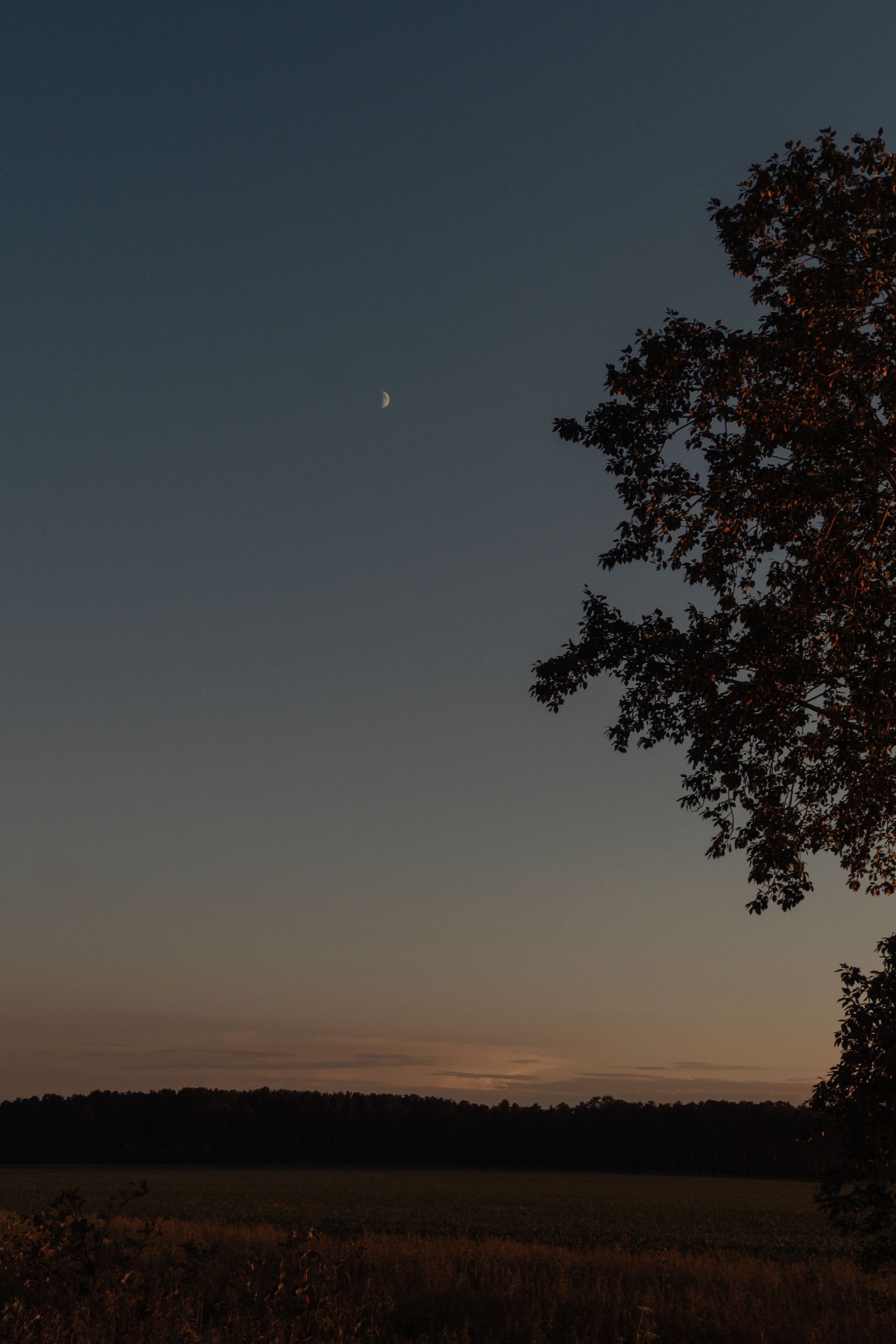 Олеся. Коммерческий фотограф Евгения Черная Екатеринбург