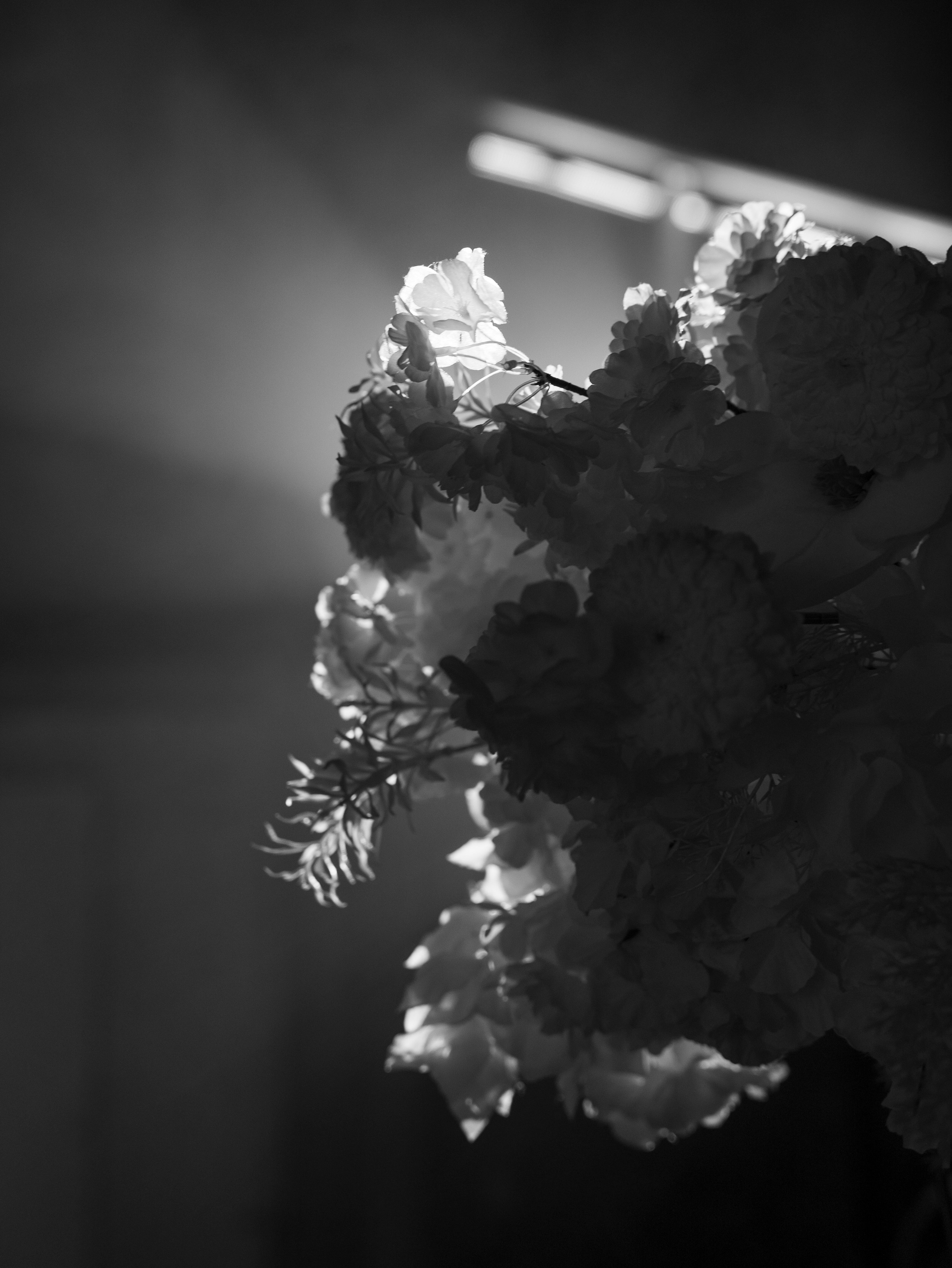 Эвелина + Александр 17.08.2023. Свадебный фотограф