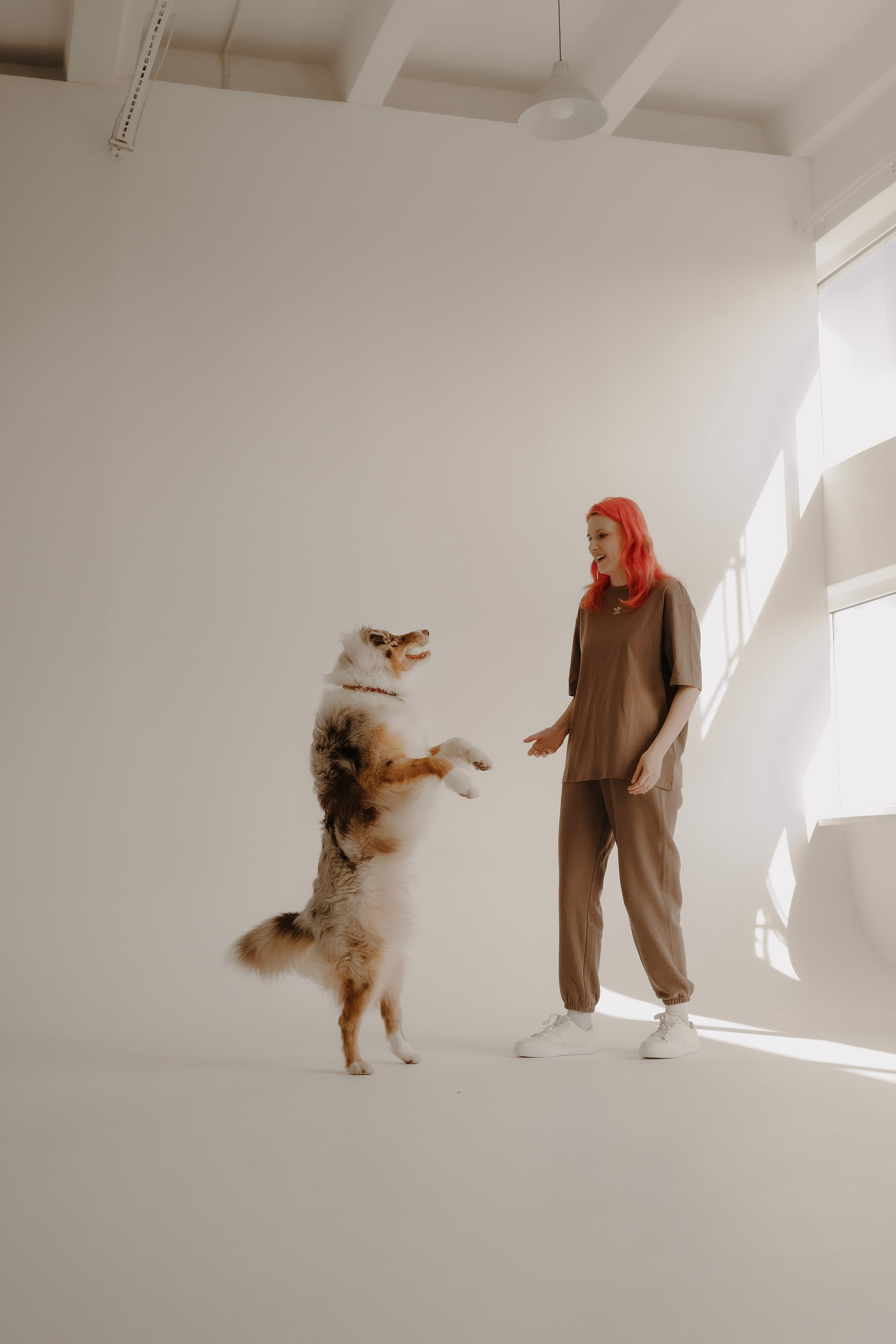 Дэймон. Фотограф- анималист Александра Матвеева