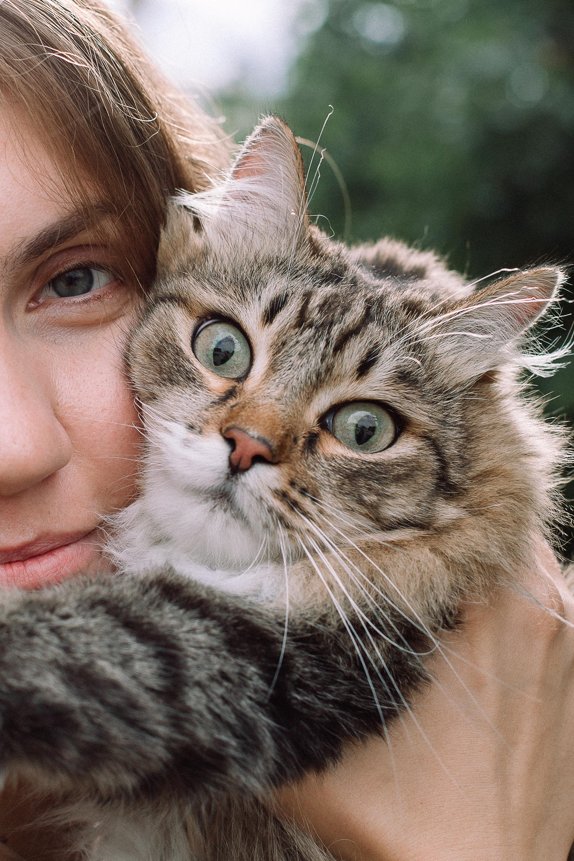 Кристина с питомцами. Семейный фотограф Трусова Евгения в Екатеринбурге