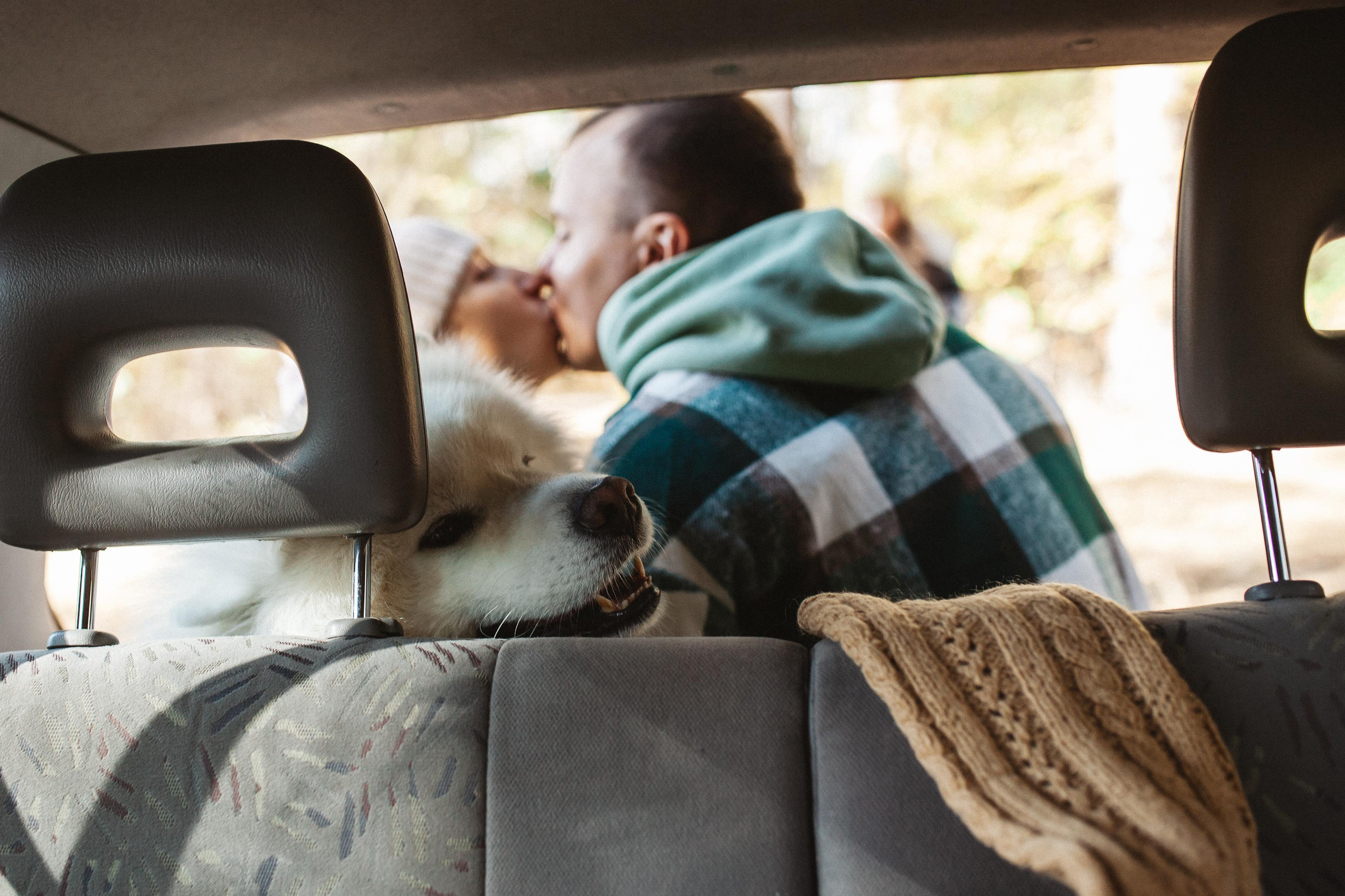 Антон, Надя, Даша, Лёва, бабушка и Циркон. Семейный фотограф Трусова Евгения в Екатеринбурге