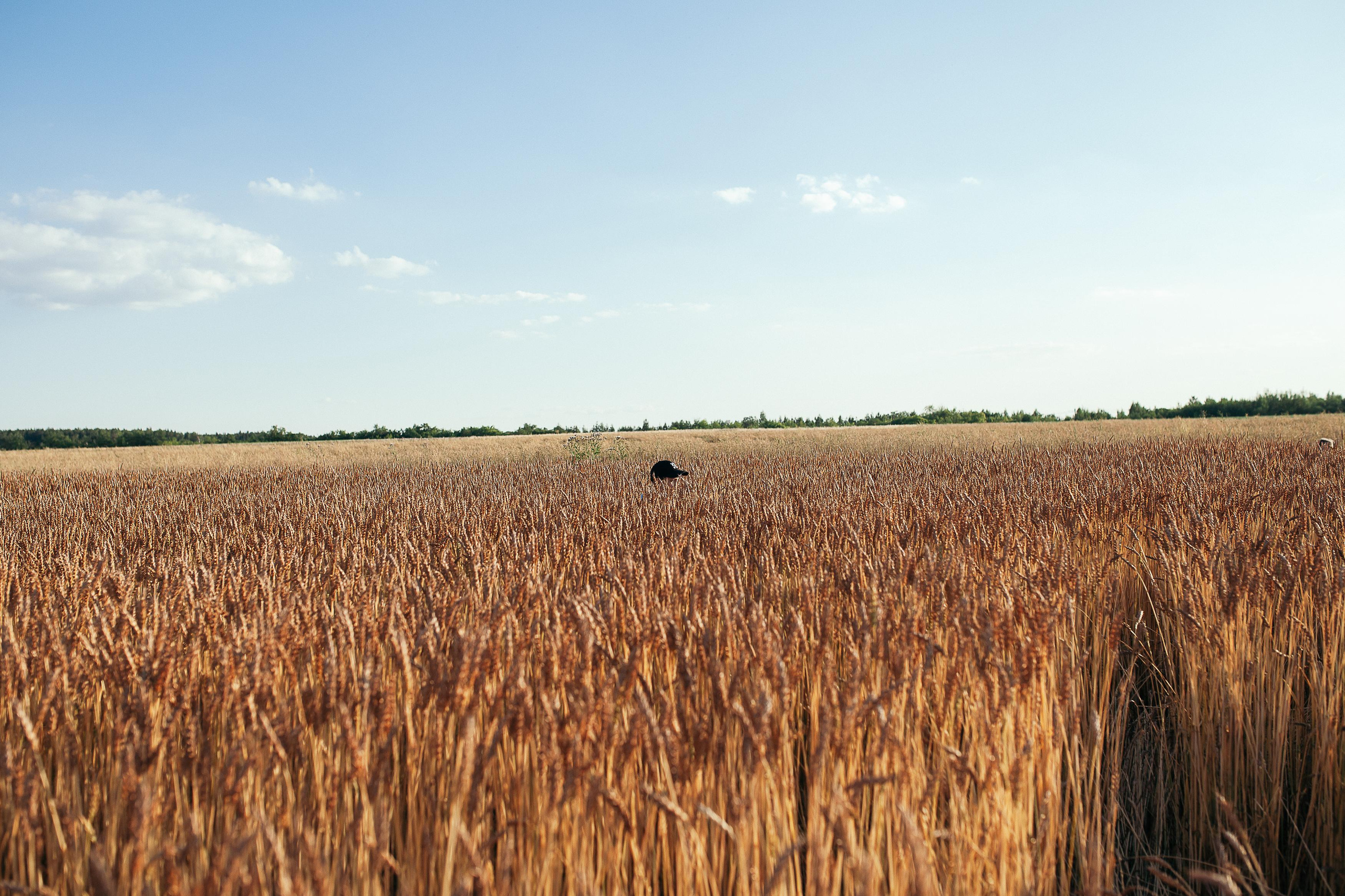 Саша, Оля, Тася и Ксюнечка. Семейный фотограф Трусова Евгения в Екатеринбурге