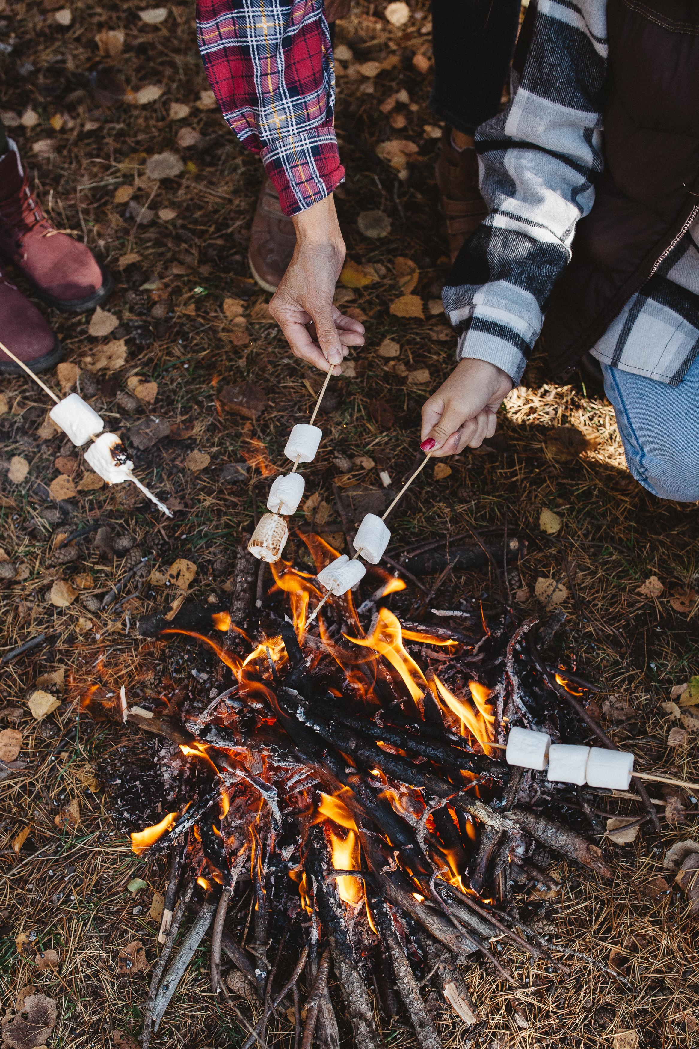 Антон, Надя, Даша, Лёва, бабушка и Циркон. Семейный фотограф Трусова Евгения в Екатеринбурге