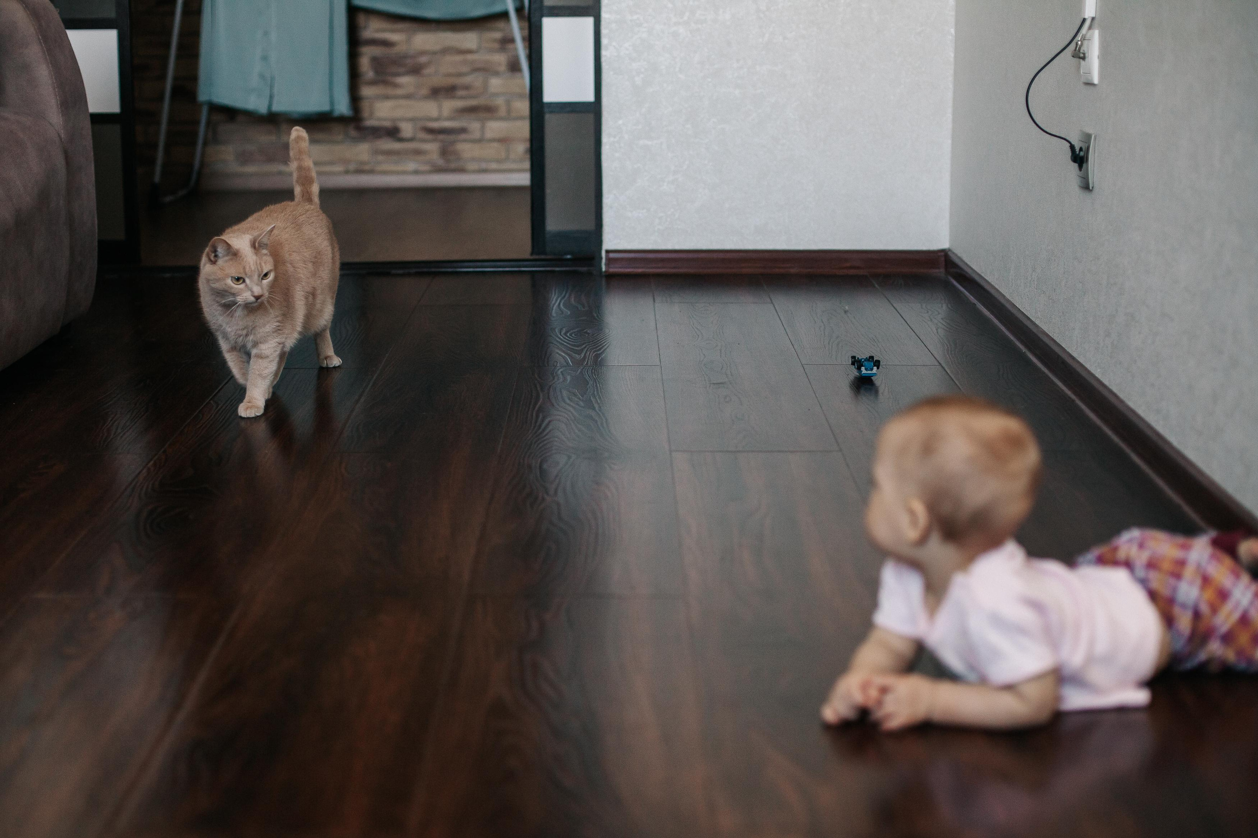 Катя и Роксана. Семейный фотограф Трусова Евгения в Екатеринбурге