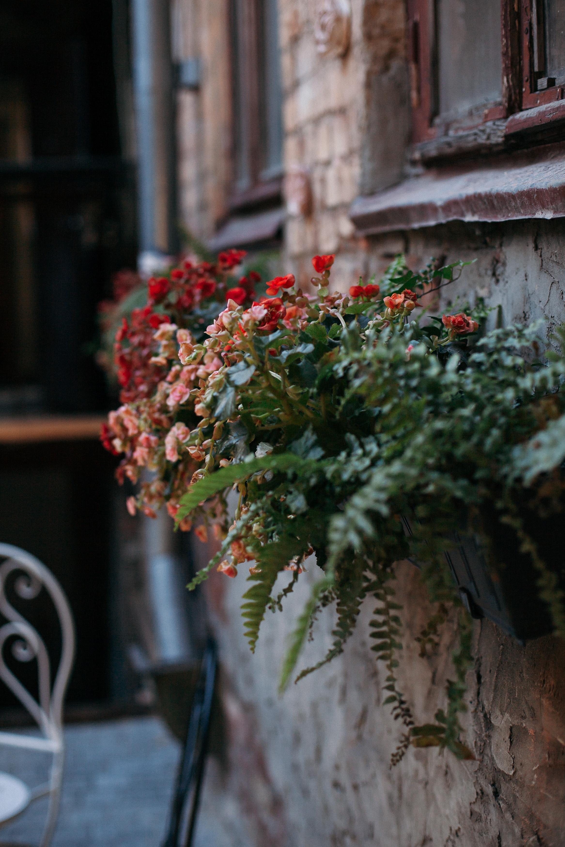 Аня, портреты в кафе. Семейный фотограф Трусова Евгения в Екатеринбурге