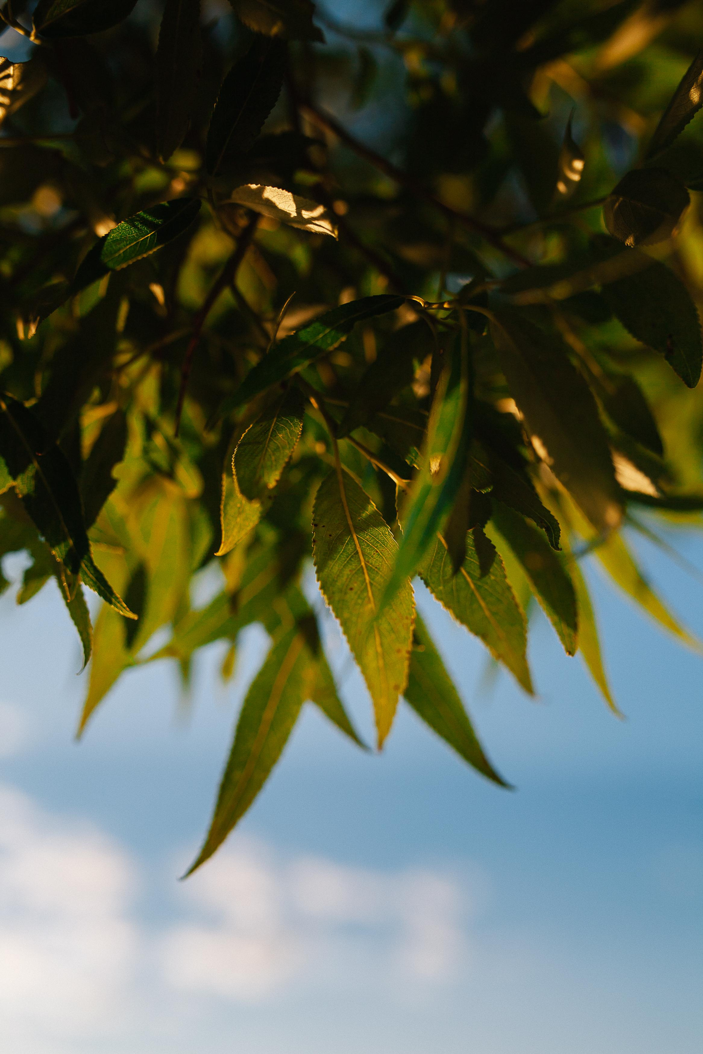 Маша и Юля на сапбордах. Семейный фотограф Трусова Евгения в Екатеринбурге