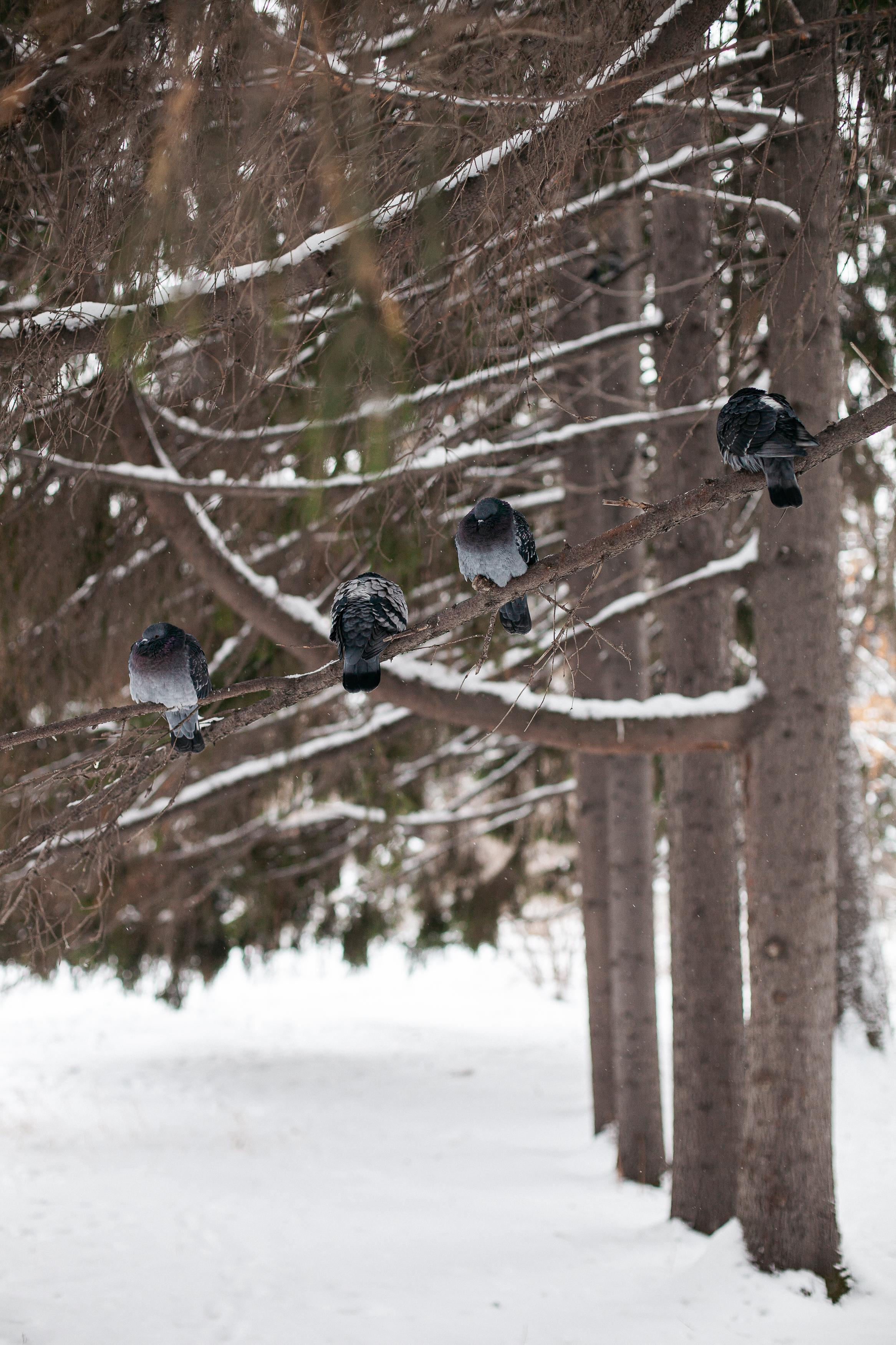 Аня с папой. Семейный фотограф Трусова Евгения в Екатеринбурге
