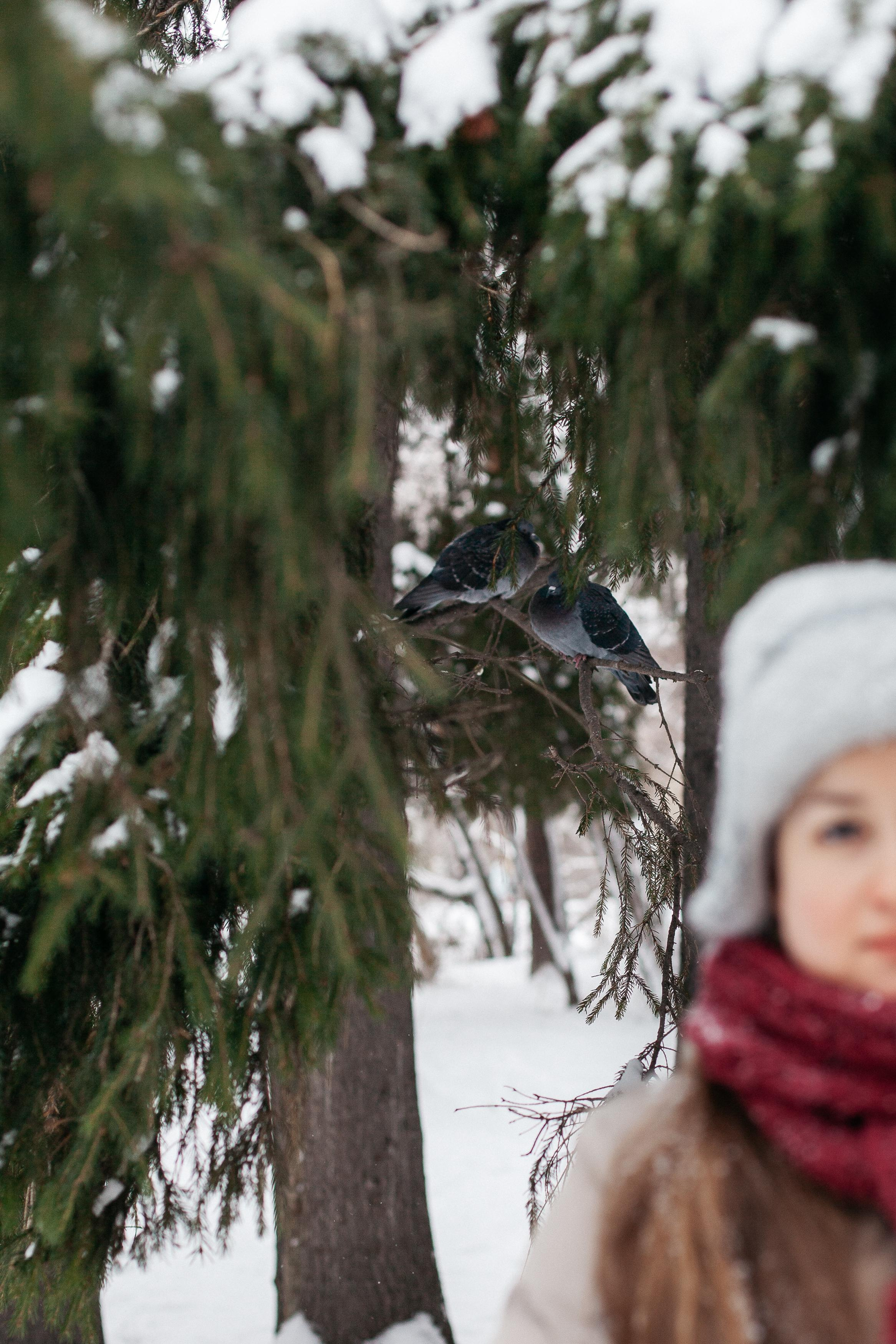 Аня с папой. Семейный фотограф Трусова Евгения в Екатеринбурге