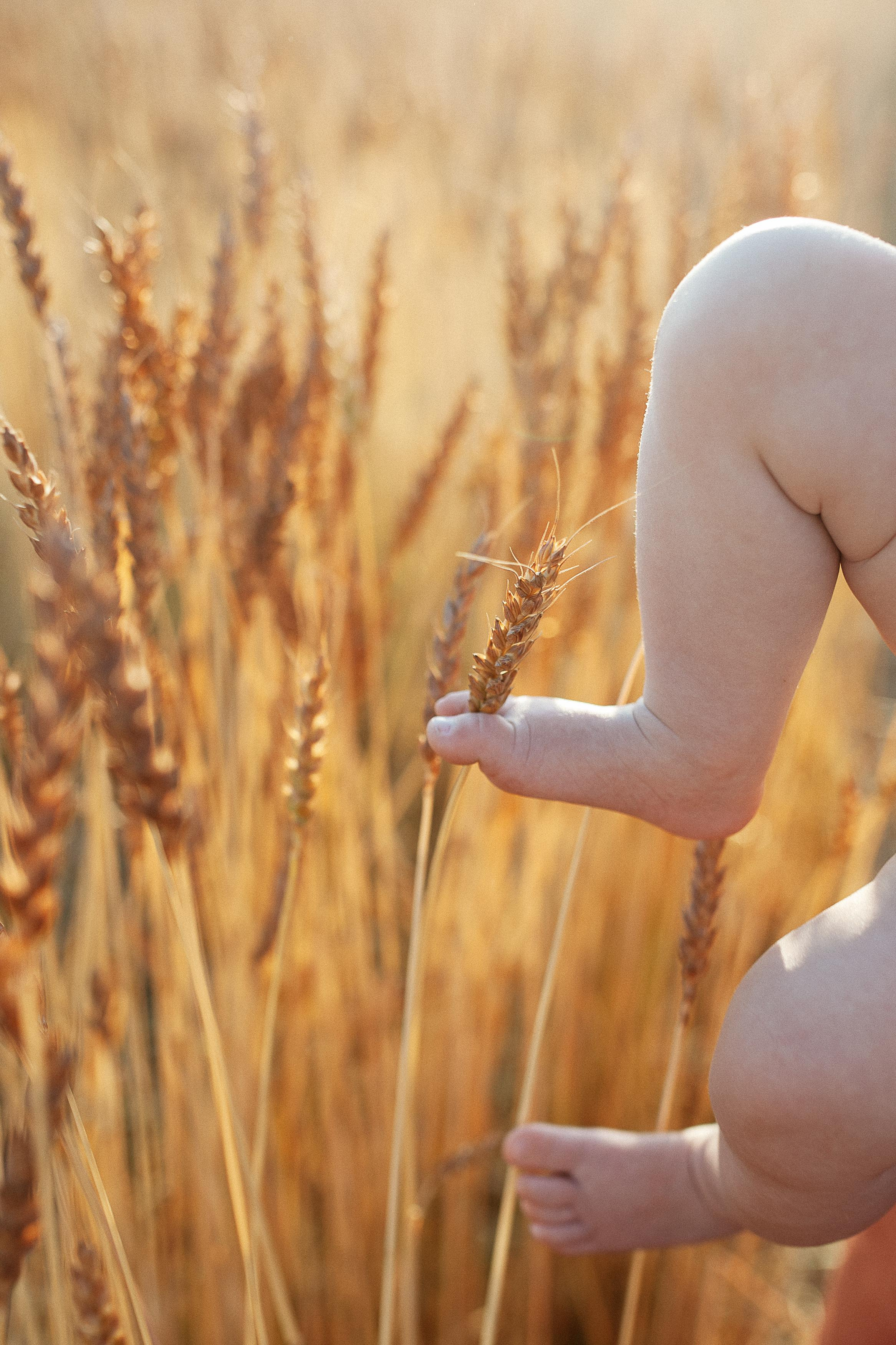 Саша, Оля, Тася и Ксюнечка. Семейный фотограф Трусова Евгения в Екатеринбурге