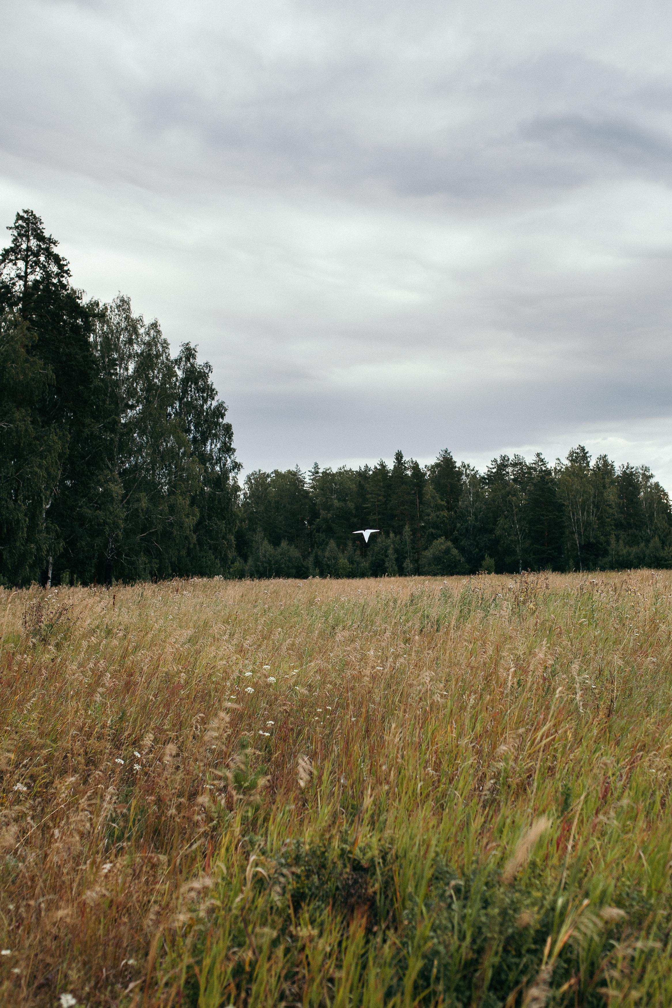 Мама Аня, Федя и Иван. Семейный фотограф Трусова Евгения в Екатеринбурге