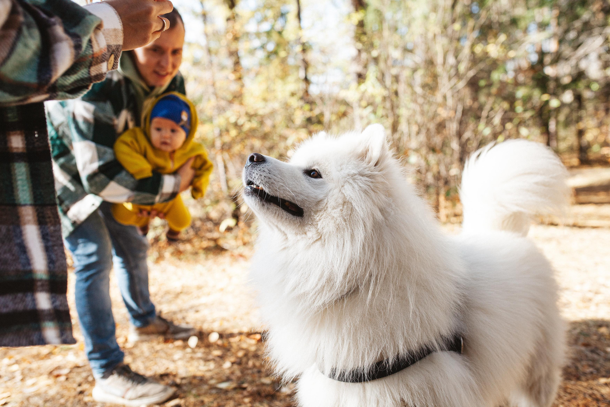 Антон, Надя, Даша, Лёва, бабушка и Циркон. Семейный фотограф Трусова Евгения в Екатеринбурге