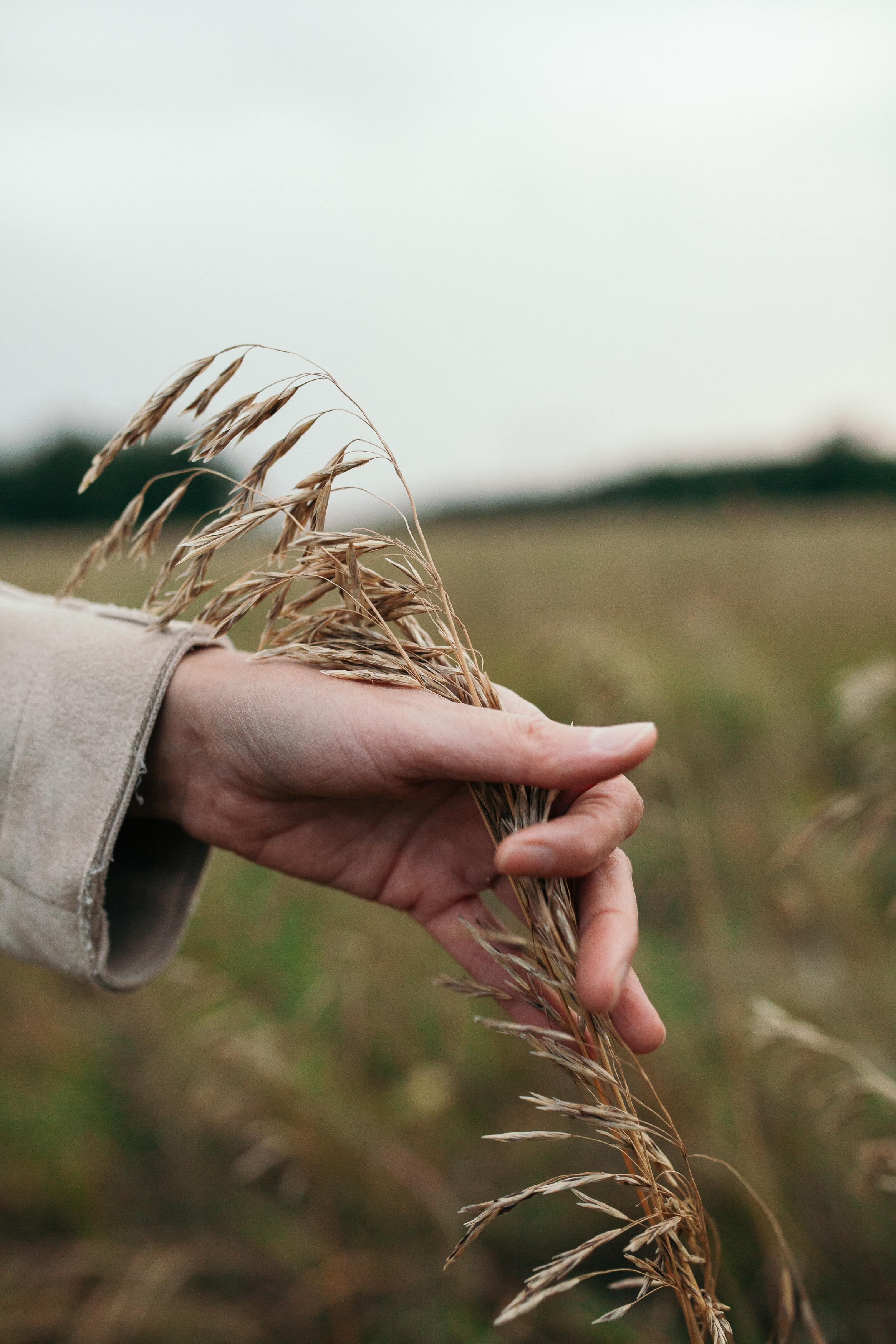 Мама Аня, Федя и Иван. Семейный фотограф Трусова Евгения в Екатеринбурге