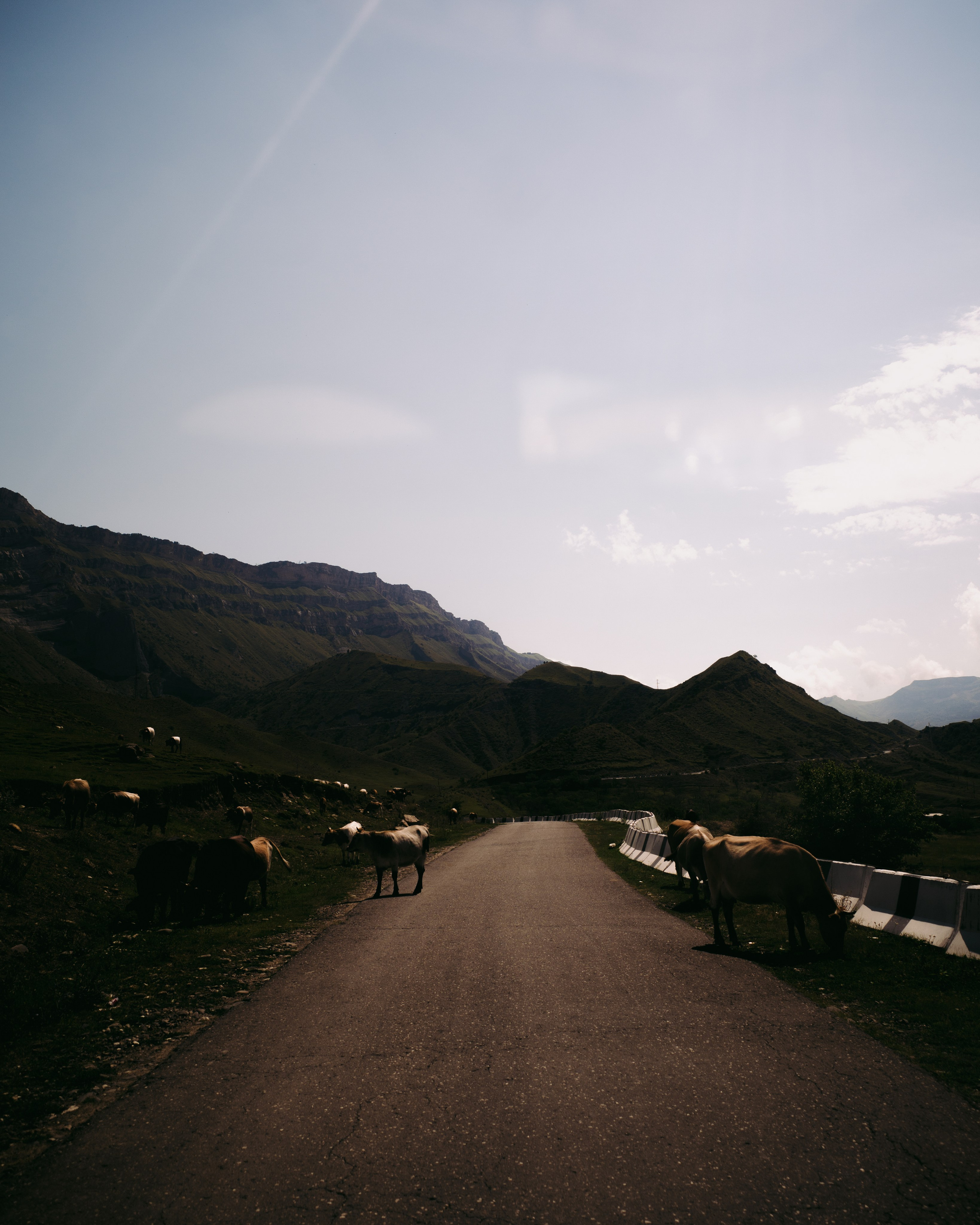 Dagestan / Yandex 360 x КУДА ГЛАЗА ГЛЯДЯТ