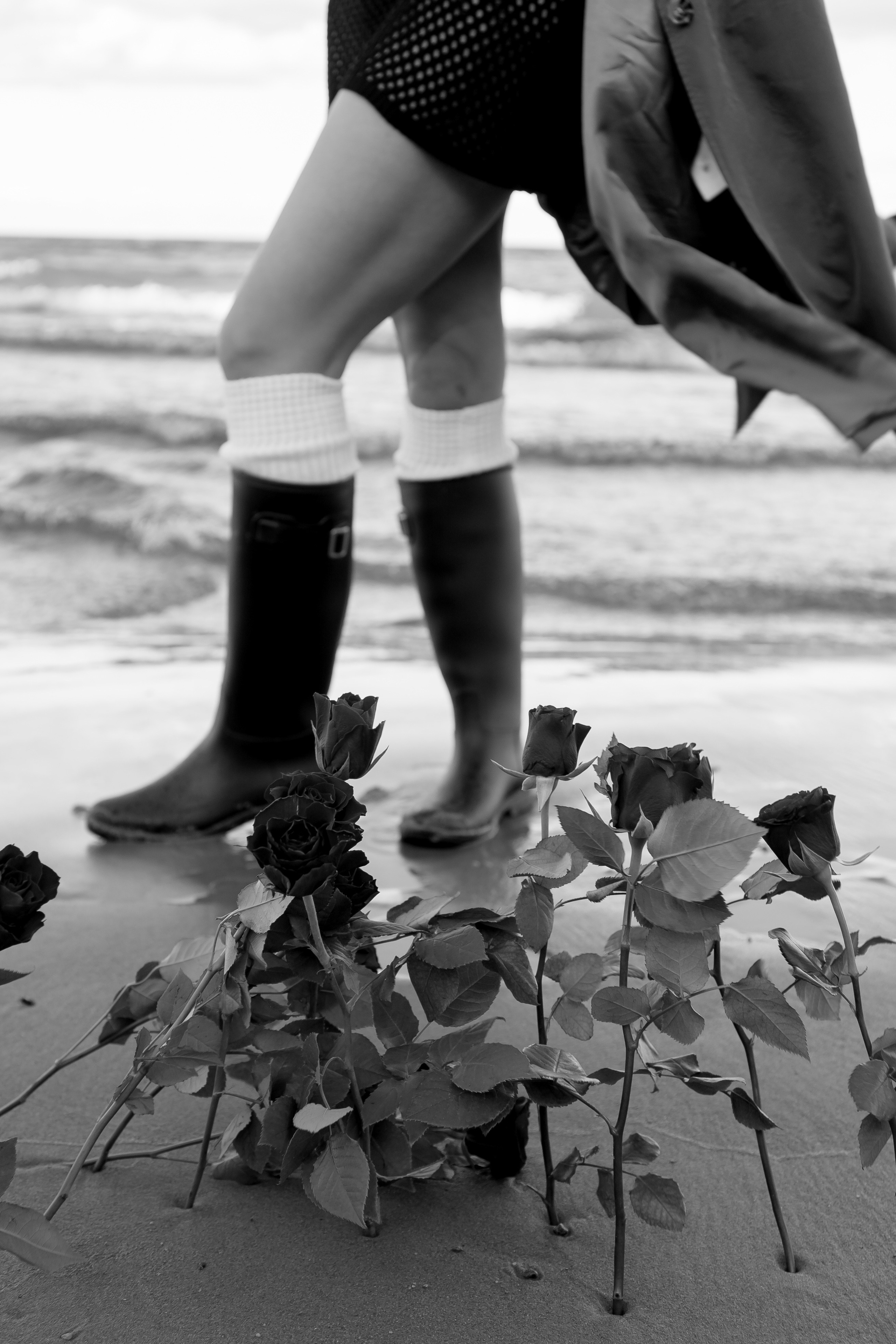 Розы. Профессиональный фотограф, Санкт-Петербург — Виктория Богомолова