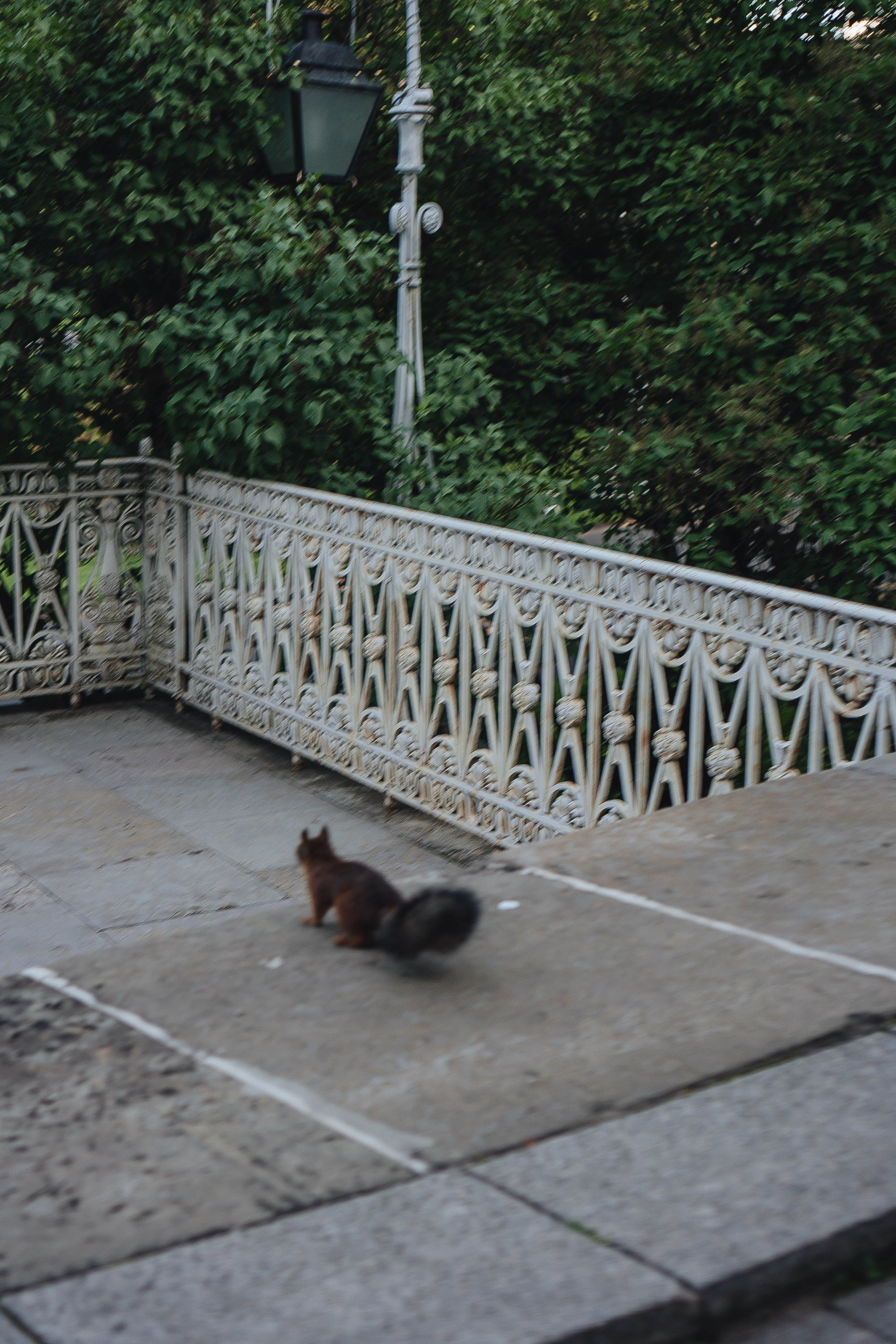 СВАДЕБНАЯ СЬЕМКА НА РАССВЕТЕ НА ЕЛАГИНОМ ОСТОРОВЕ. Профессиональный фотограф, Санкт-Петербург — Виктория Богомолова