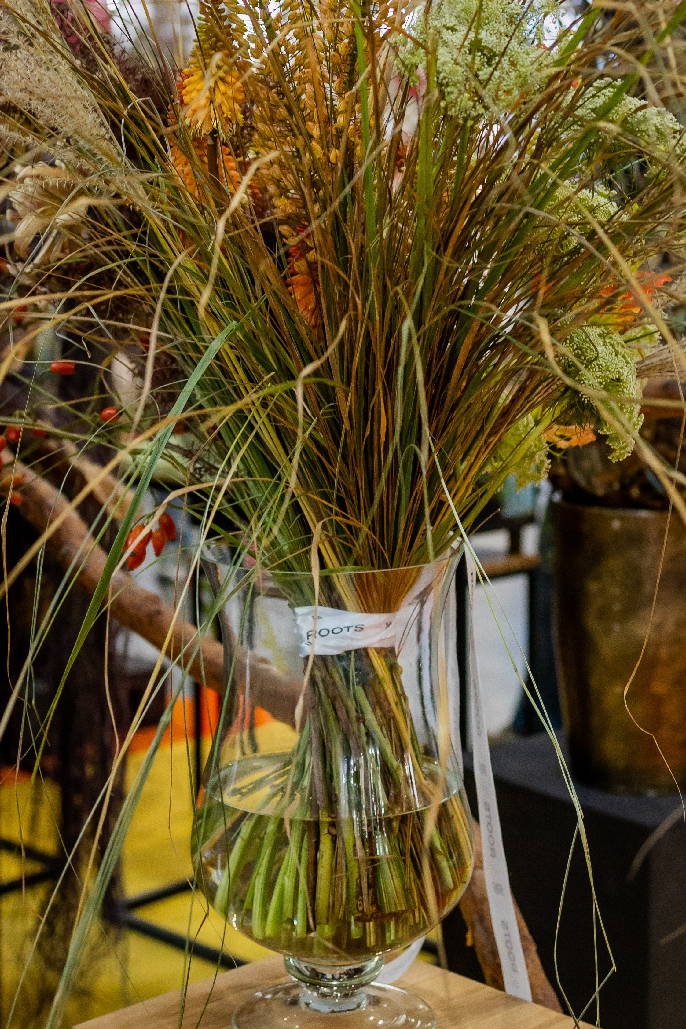 Цветы-Экспо 2025. Фотосессии и репортаж — Фотограф в Москве — Рина Серёгина