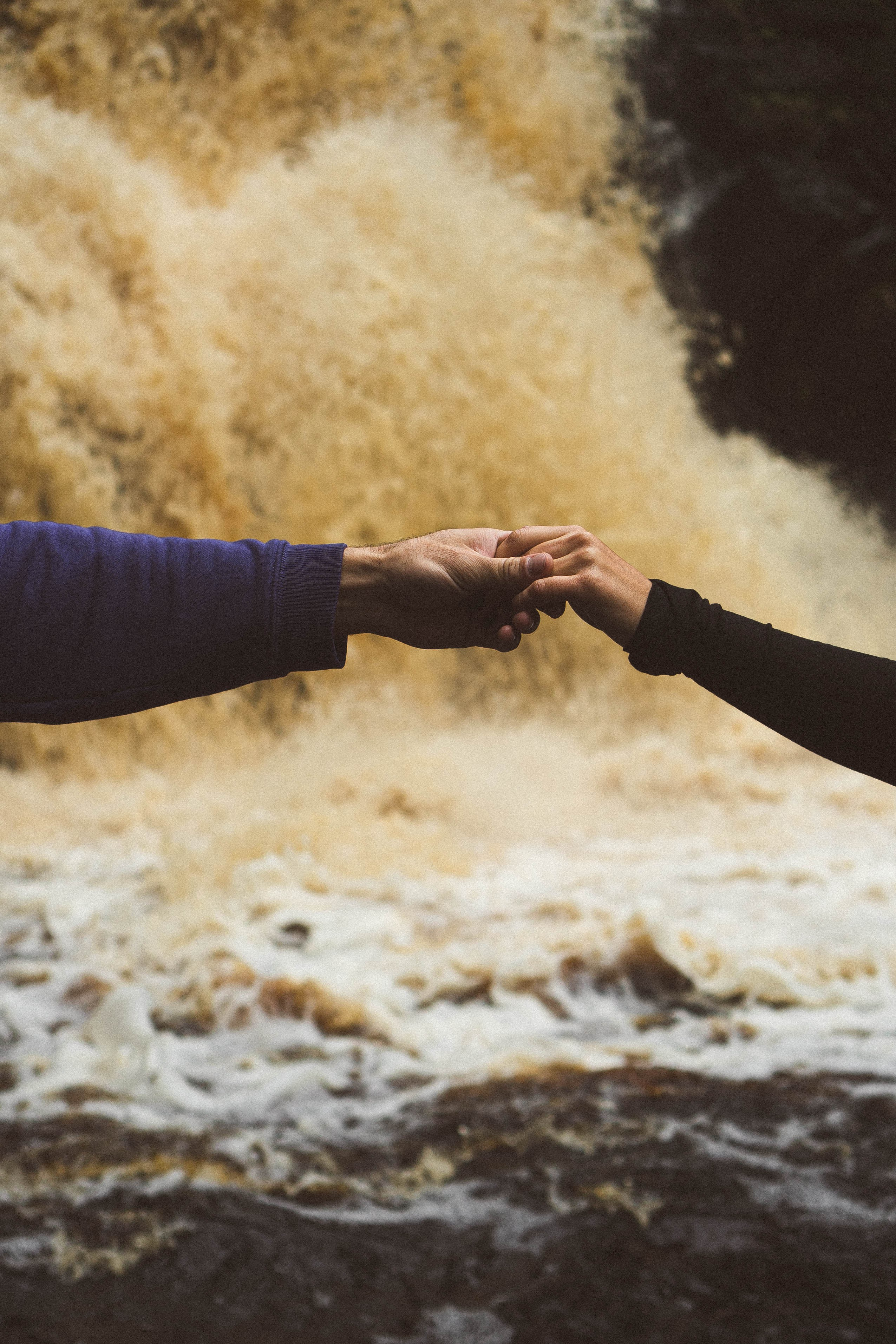 Прогулка на природе. Профессиональный фотограф, Санкт-Петербург — Виктория Богомолова