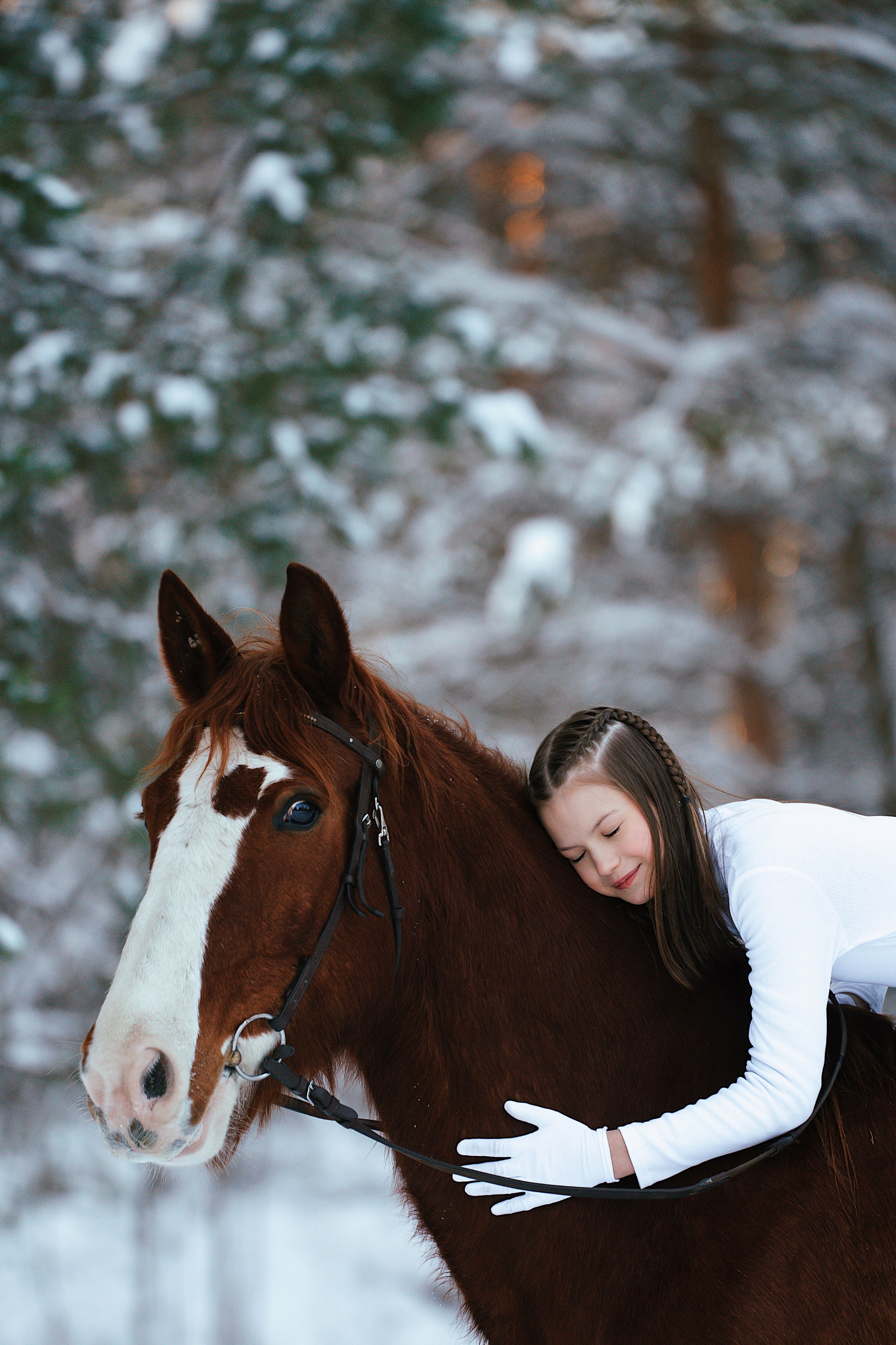 Конные. Фотограф Сибирика (Ирина Кузнецова), Санкт-Петербург и ЛО — портреты, свадьбы и семейные съемки. Творческий подход и качественные фото