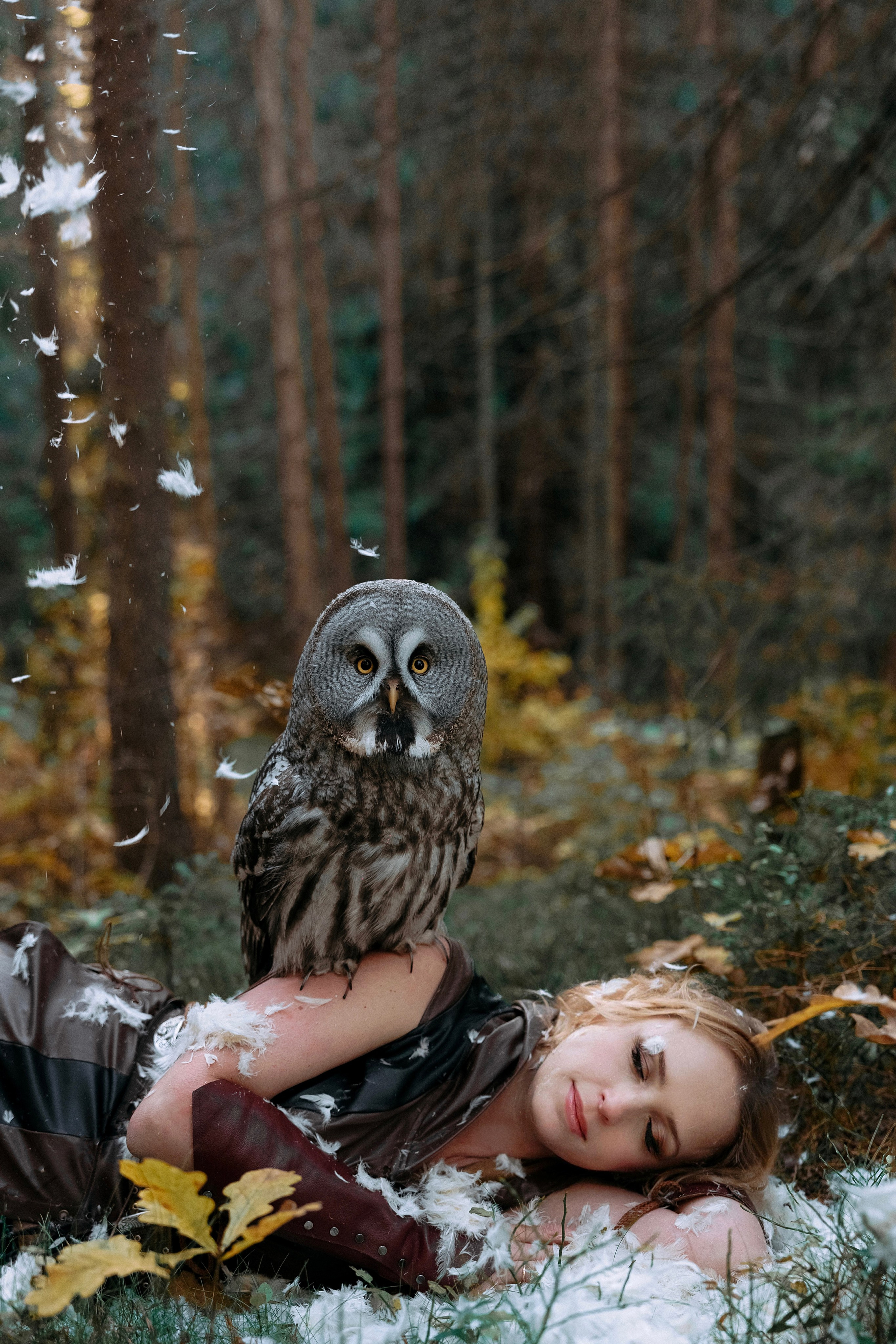 Художественные. Главная