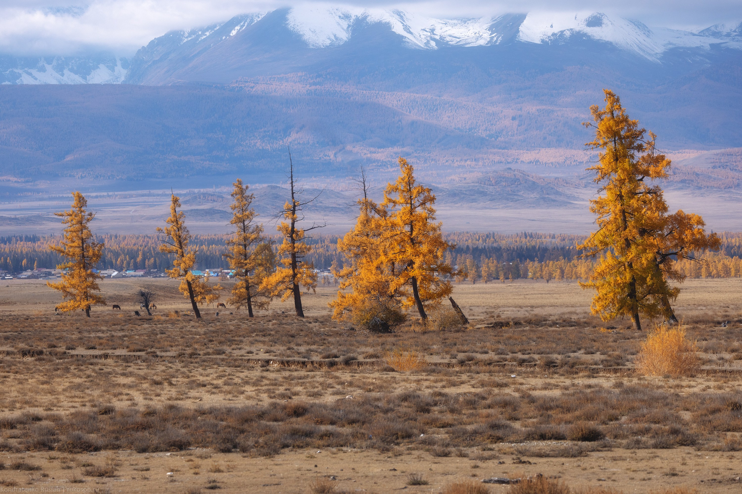 Горный Алтай. Архитектурный и пейзажный фотограф Кондратенко Руслан, Санкт-Петербург