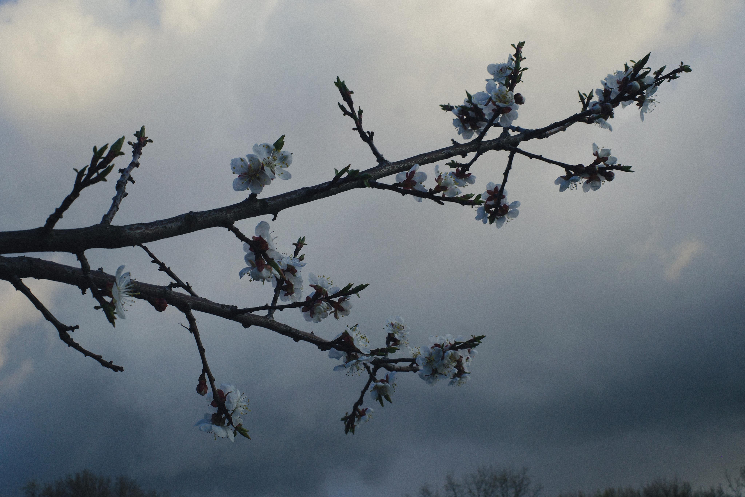 День за днем. Фотограф Тимофеева Юлия