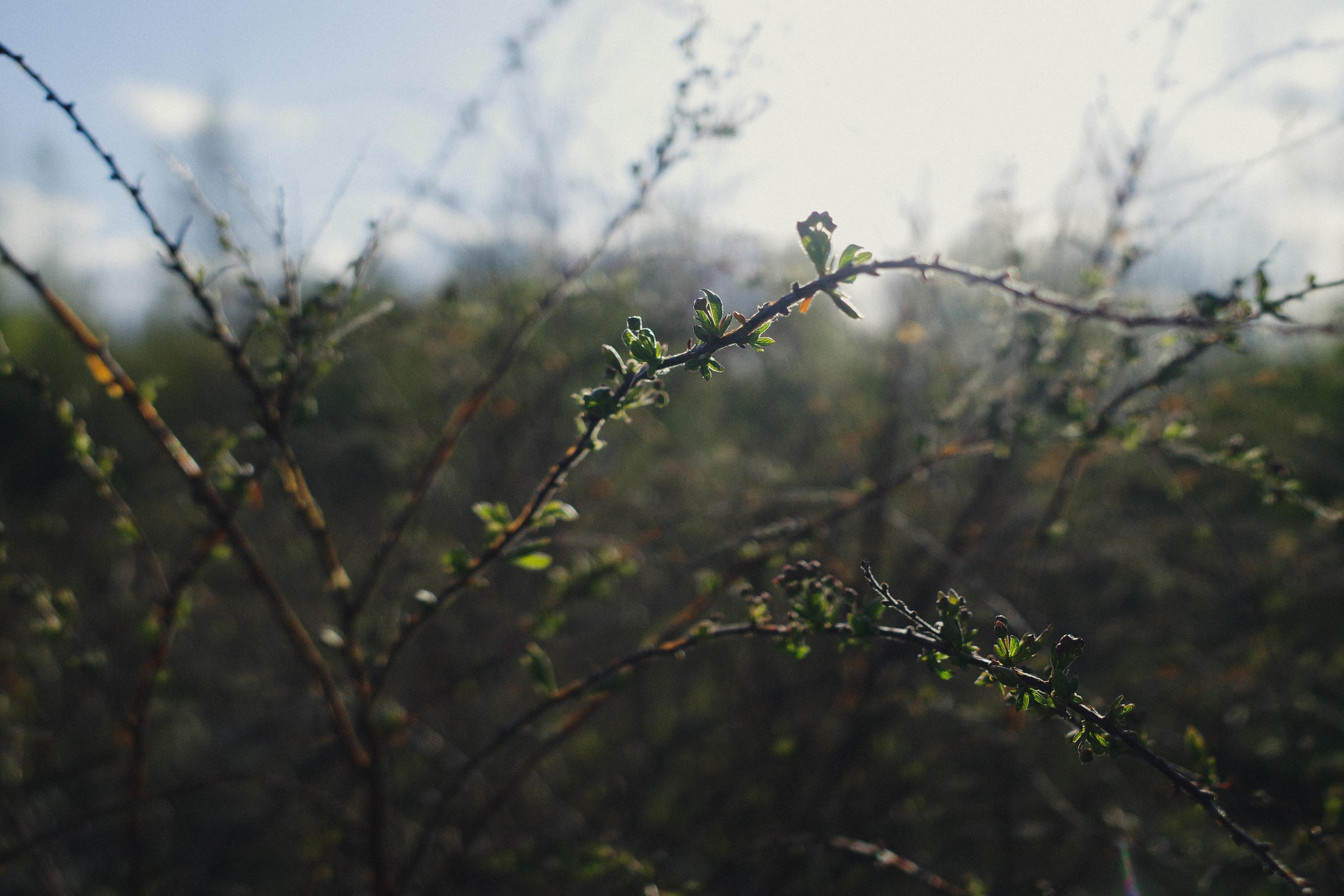 День за днем. Фотограф Тимофеева Юлия