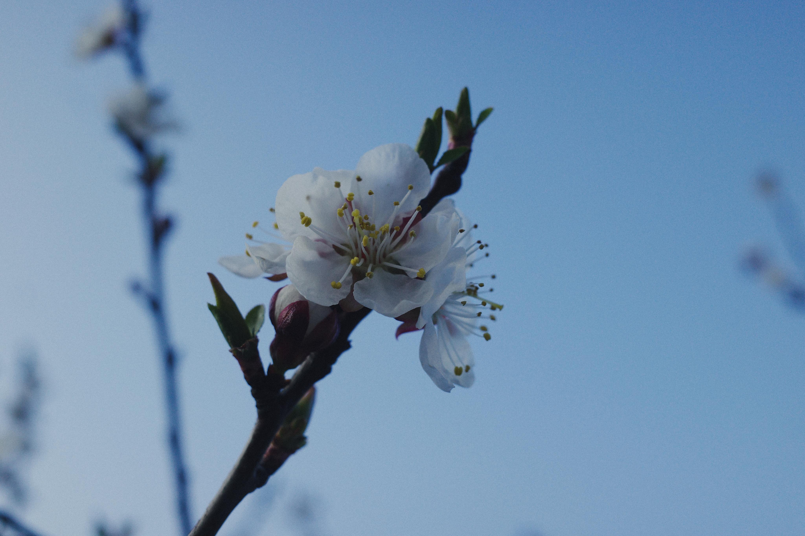 День за днем. Фотограф Тимофеева Юлия