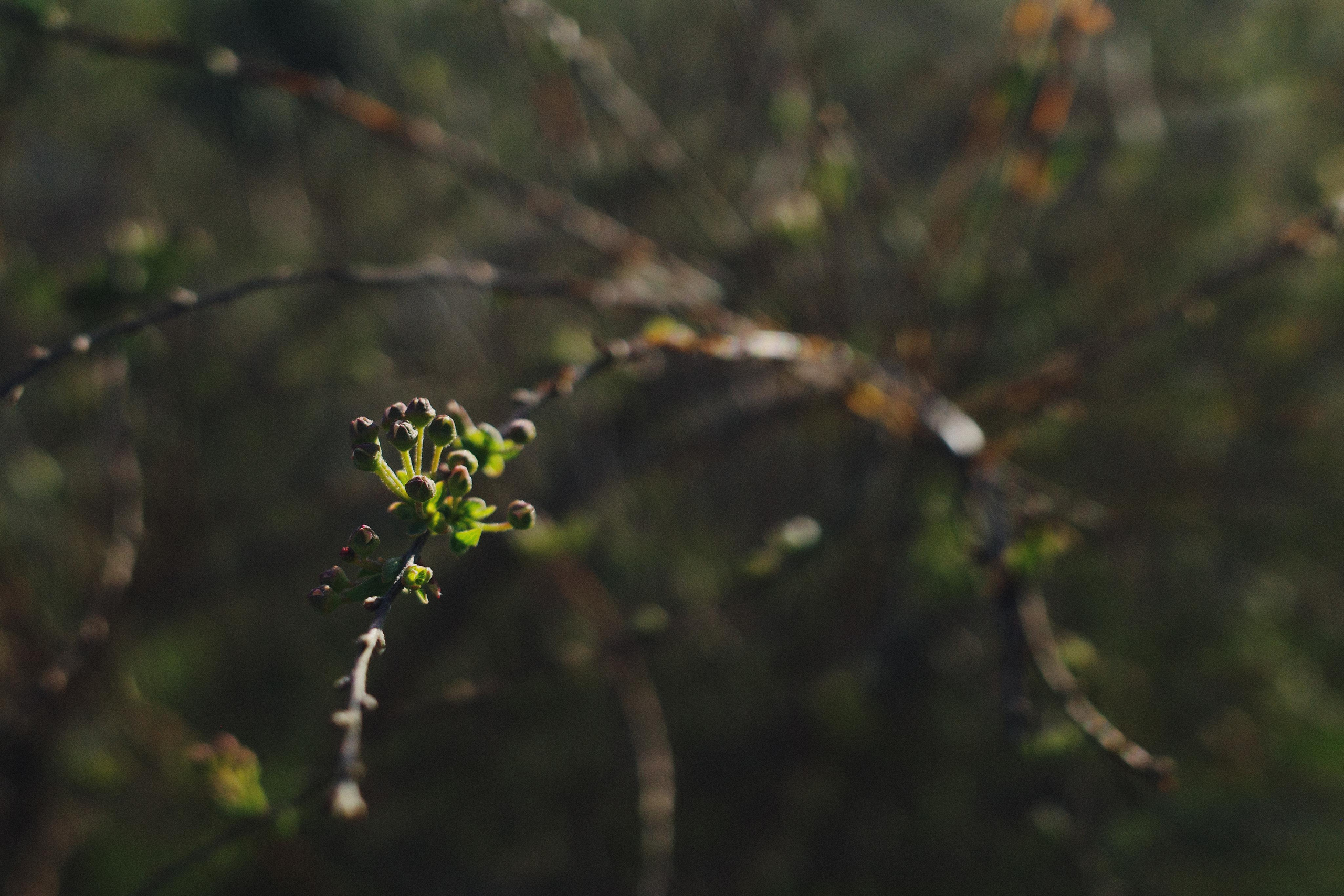 День за днем. Фотограф Тимофеева Юлия