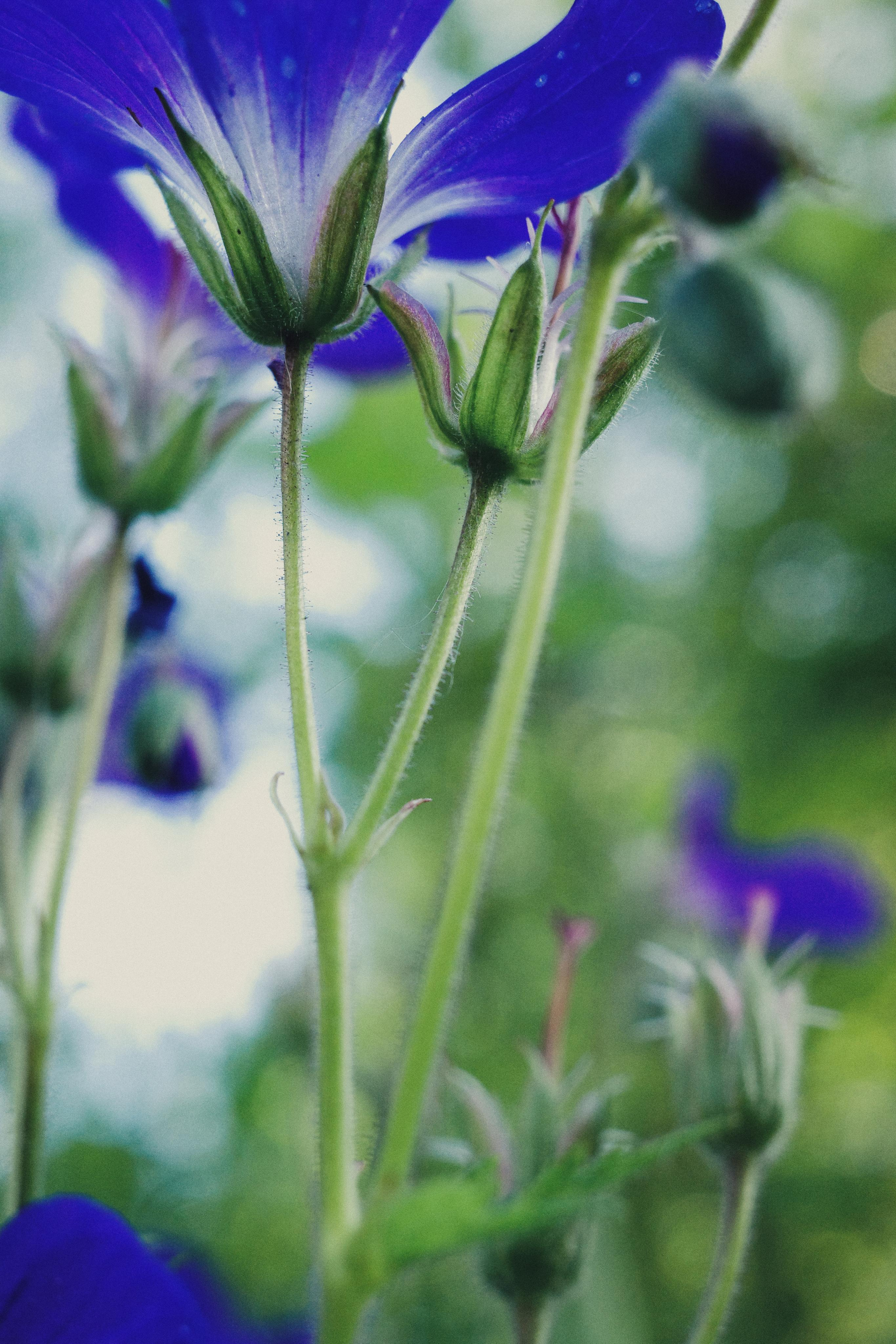 День за днем. Фотограф Тимофеева Юлия