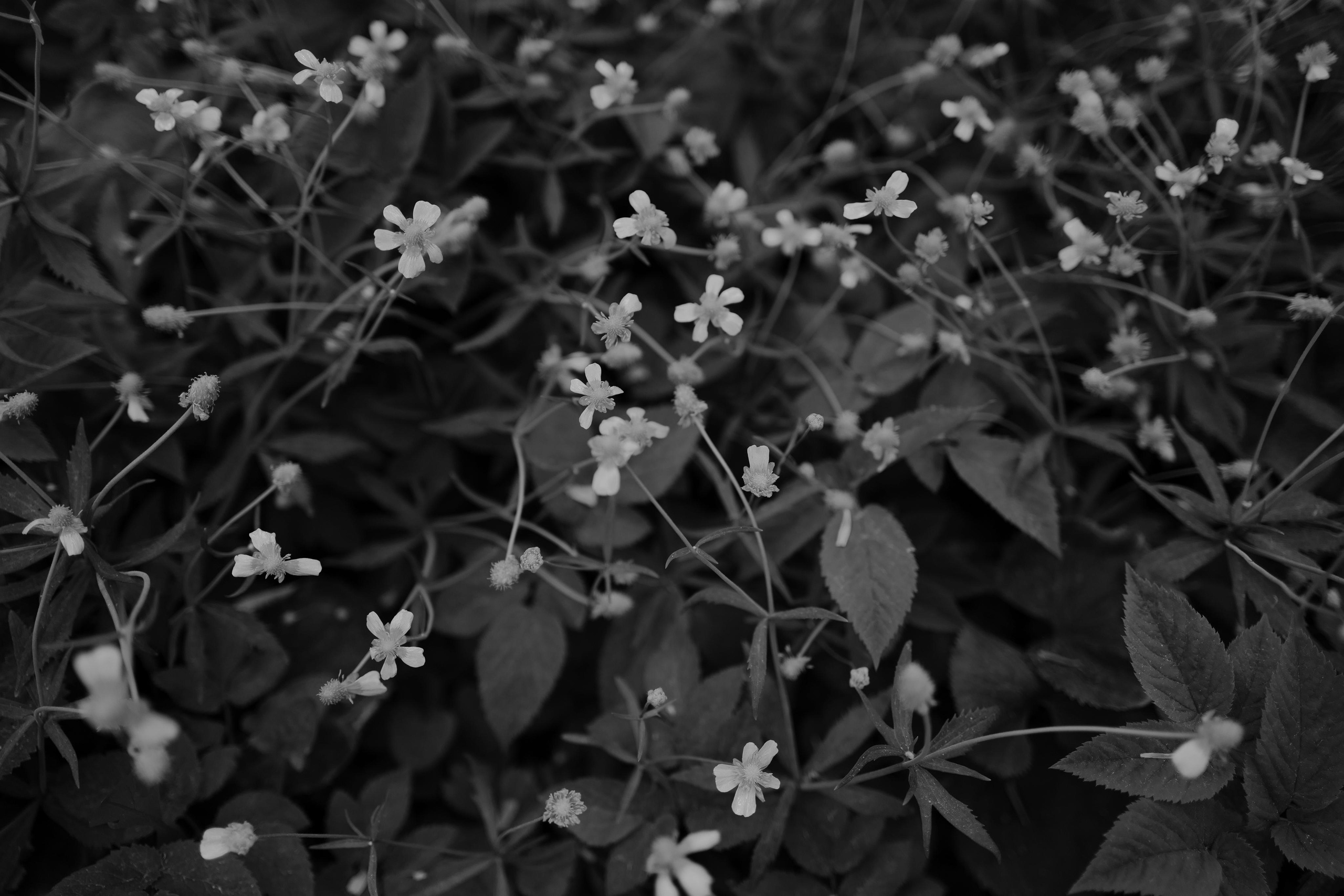 День за днем. Фотограф Тимофеева Юлия