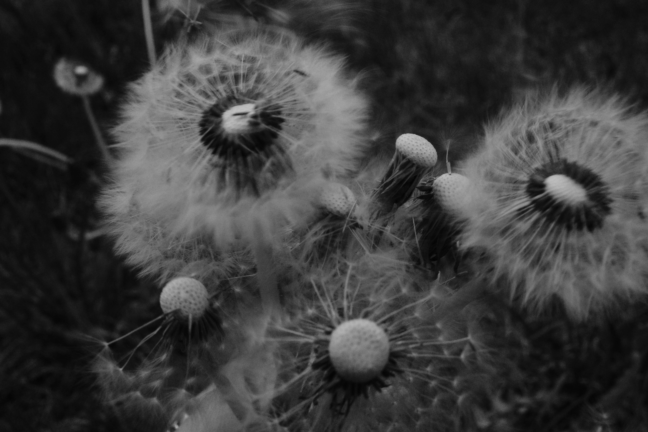 День за днем. Фотограф Тимофеева Юлия