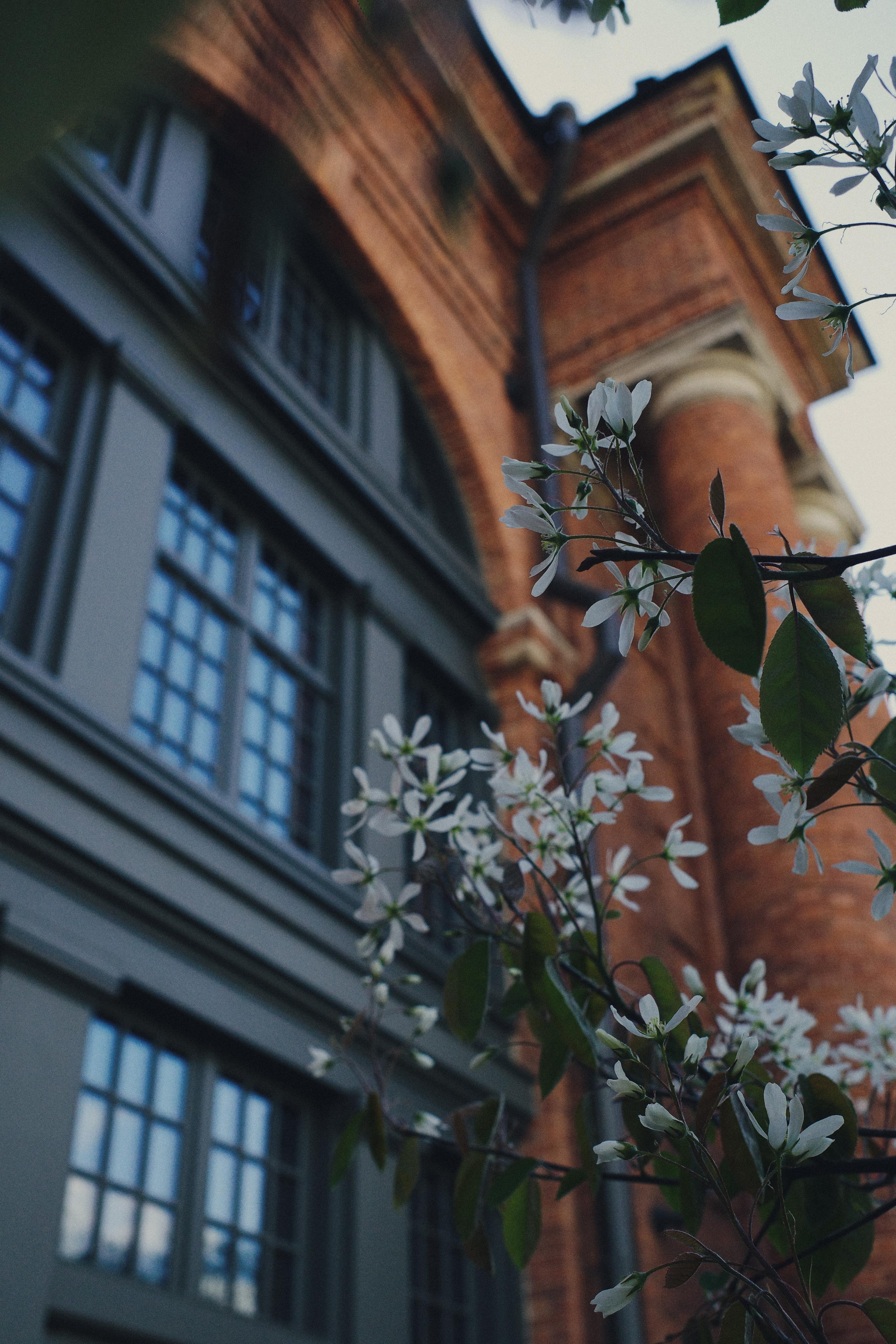 День за днем. Фотограф Тимофеева Юлия