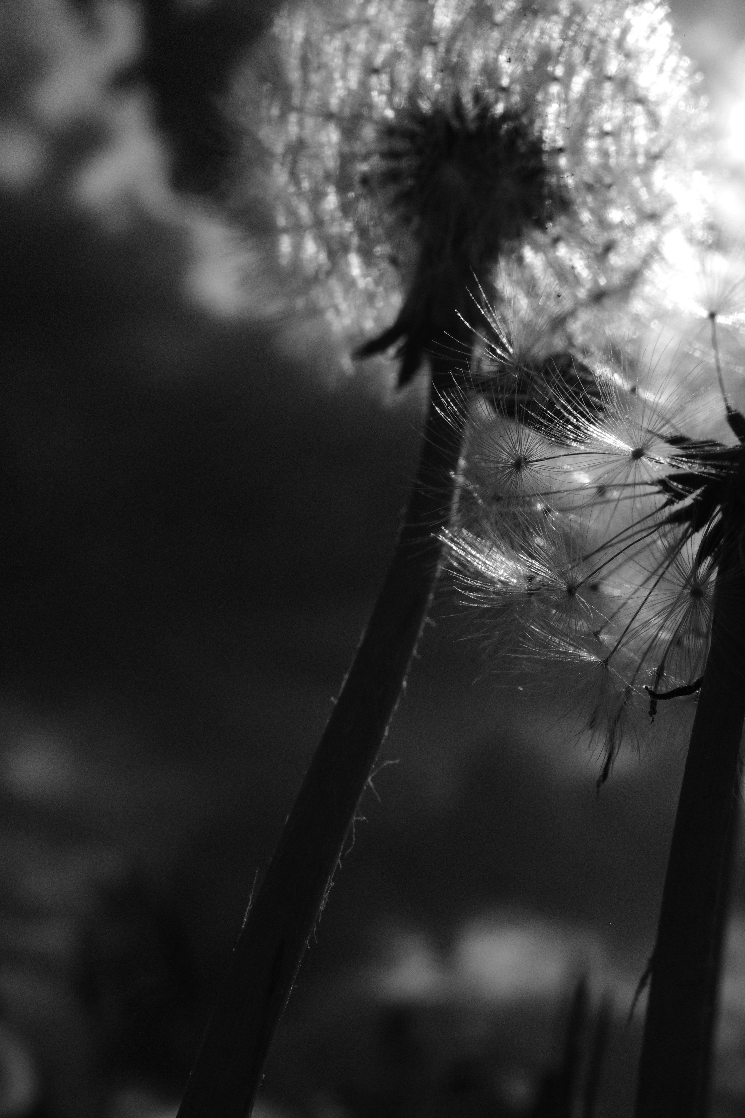 День за днем. Фотограф Тимофеева Юлия