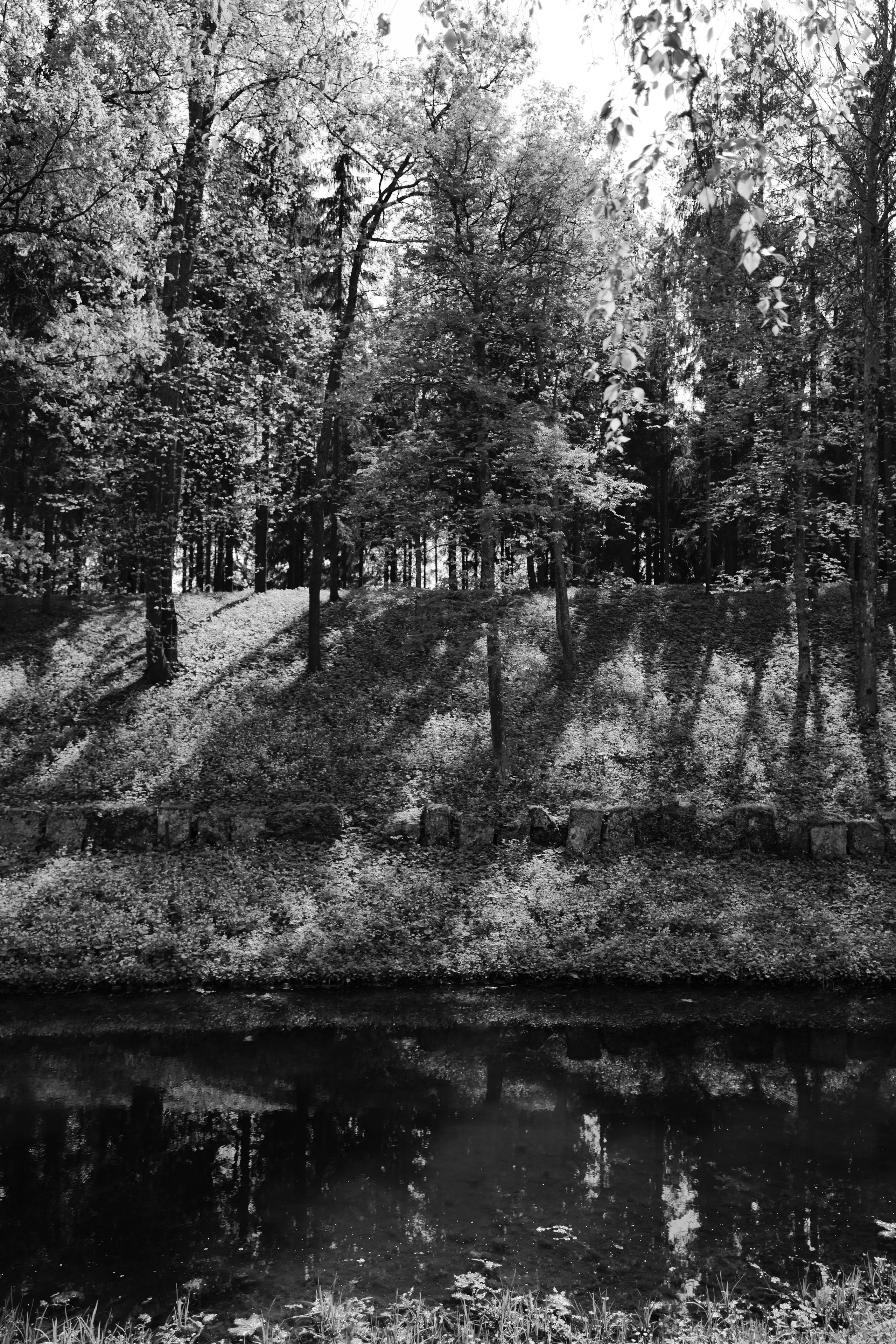 День за днем. Фотограф Тимофеева Юлия