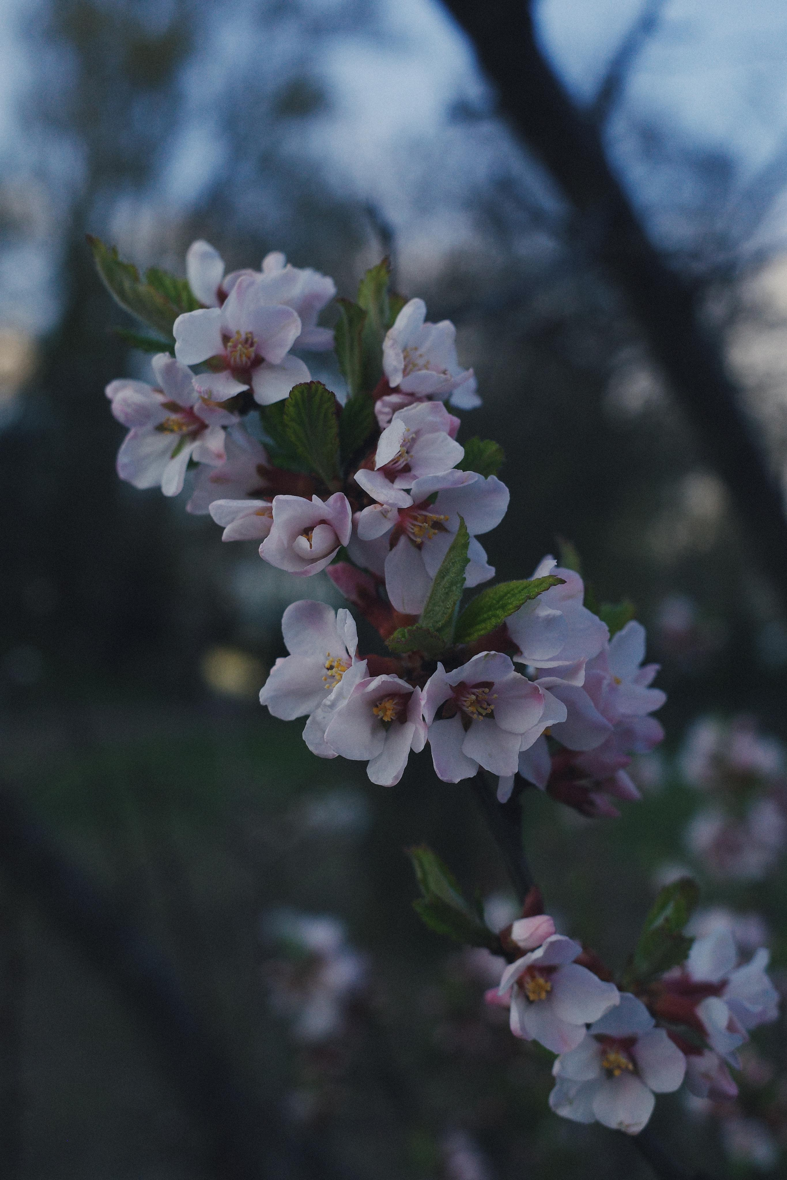 День за днем. Фотограф Тимофеева Юлия