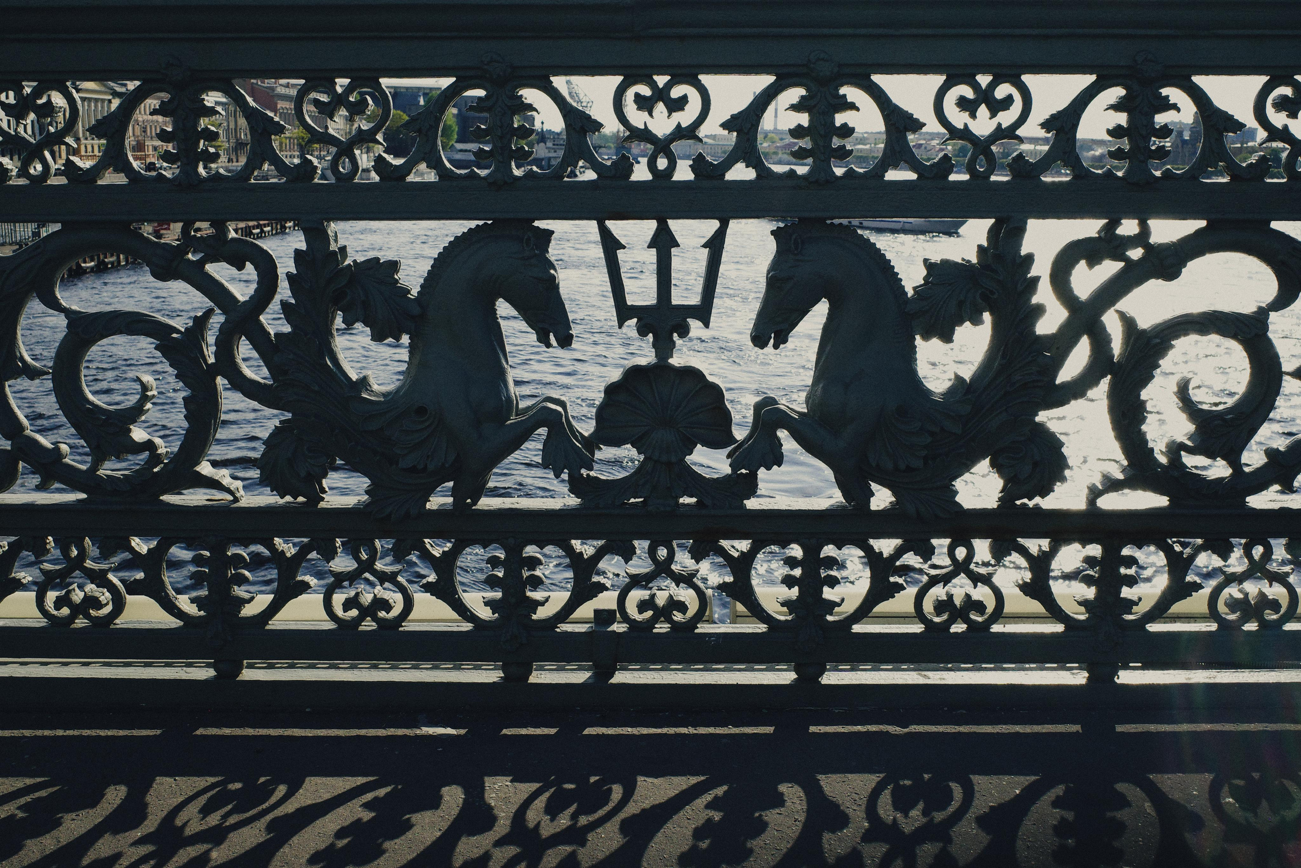 День за днем. Фотограф Тимофеева Юлия