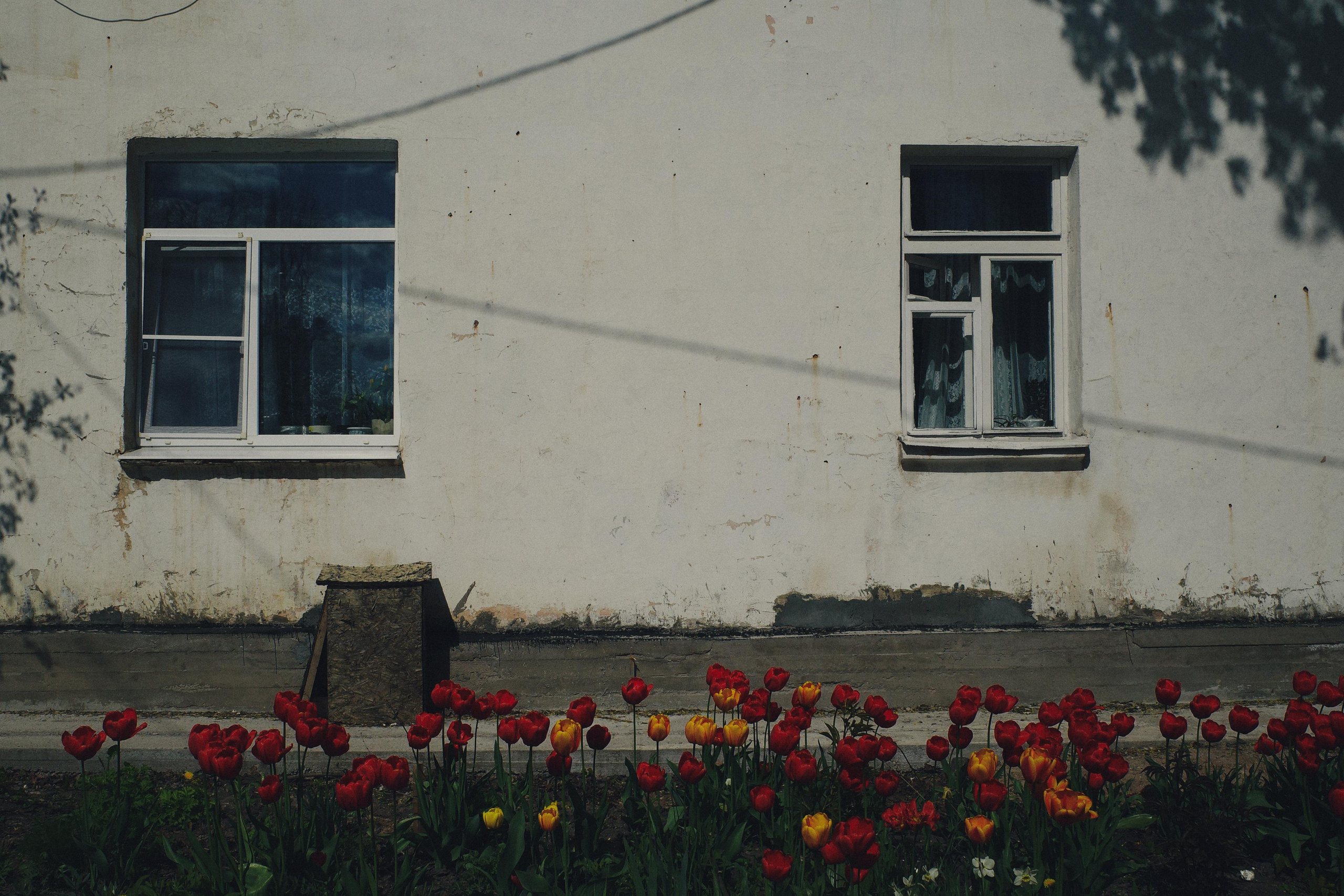 День за днем. Фотограф Тимофеева Юлия