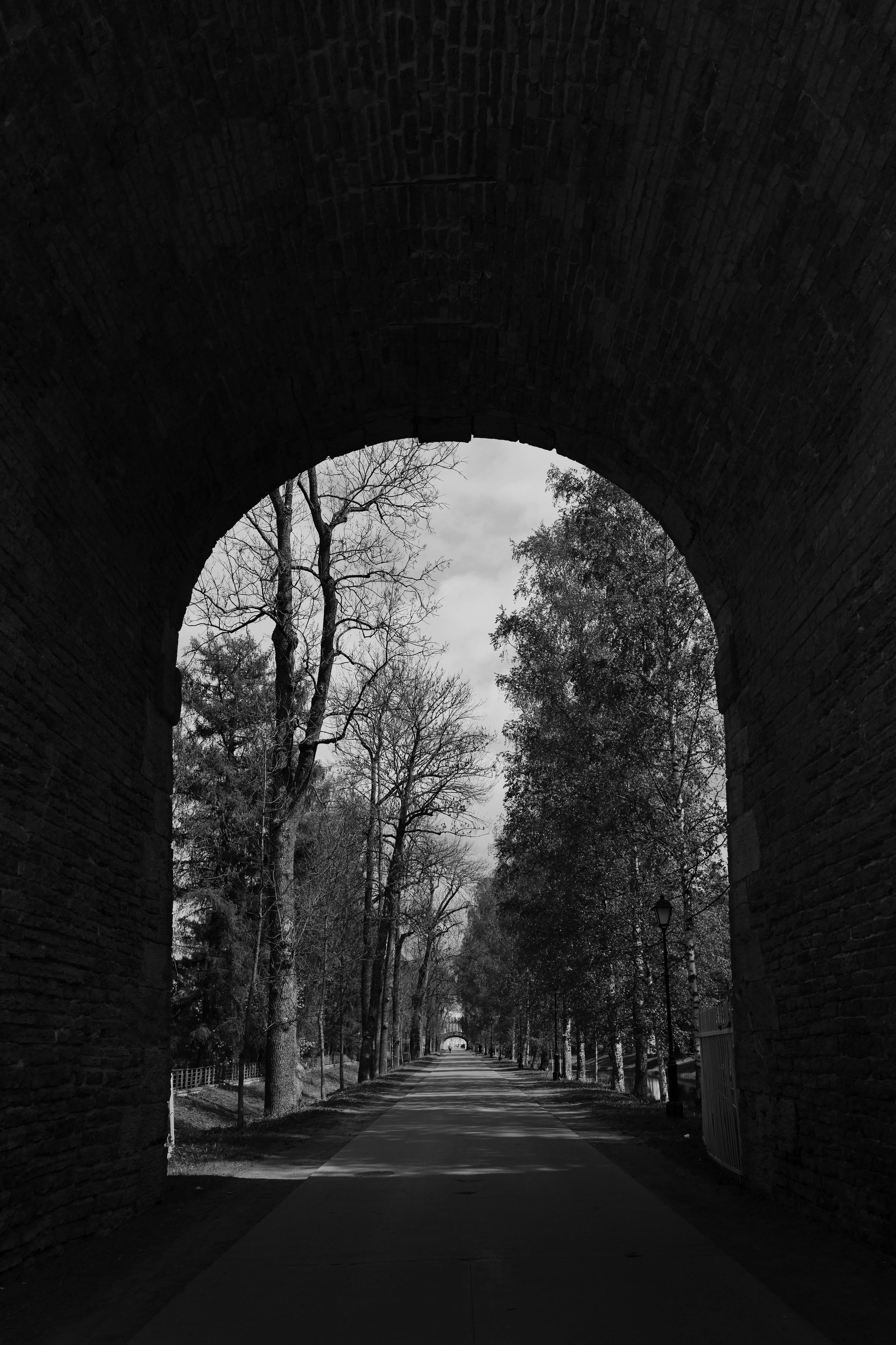 День за днем. Фотограф Тимофеева Юлия