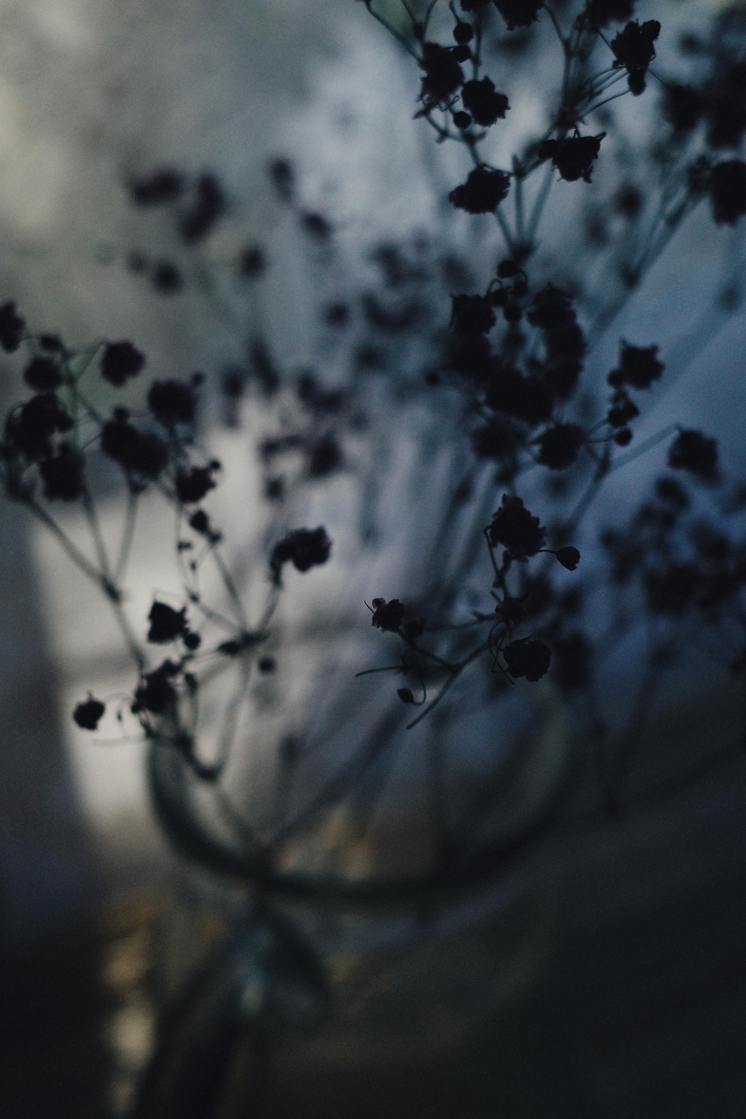 День за днем. Фотограф Тимофеева Юлия