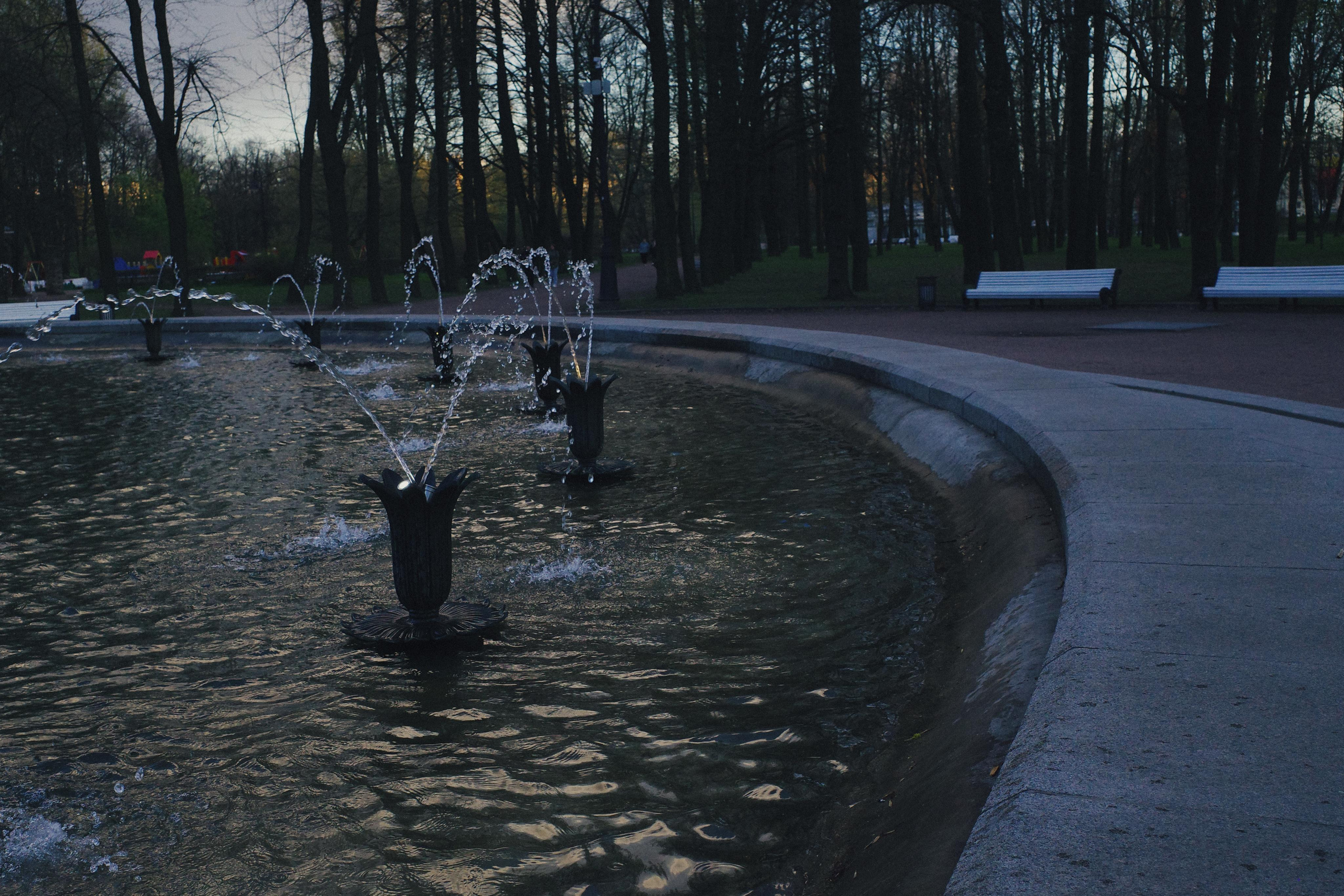 День за днем. Фотограф Тимофеева Юлия