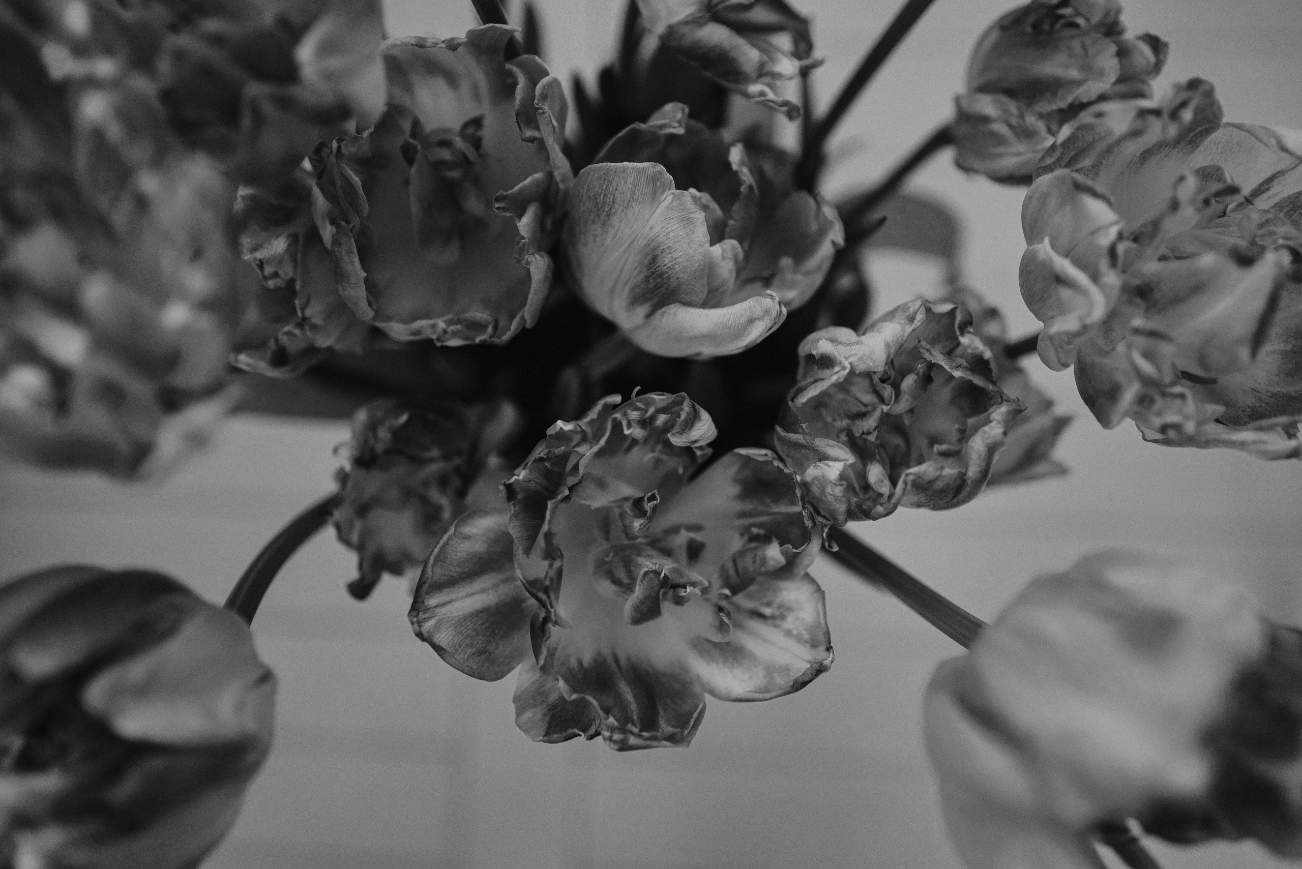 День за днем. Фотограф Тимофеева Юлия