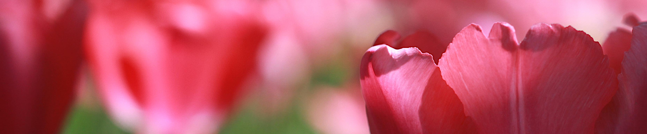 MarCh Photography — Фотограф в Перми