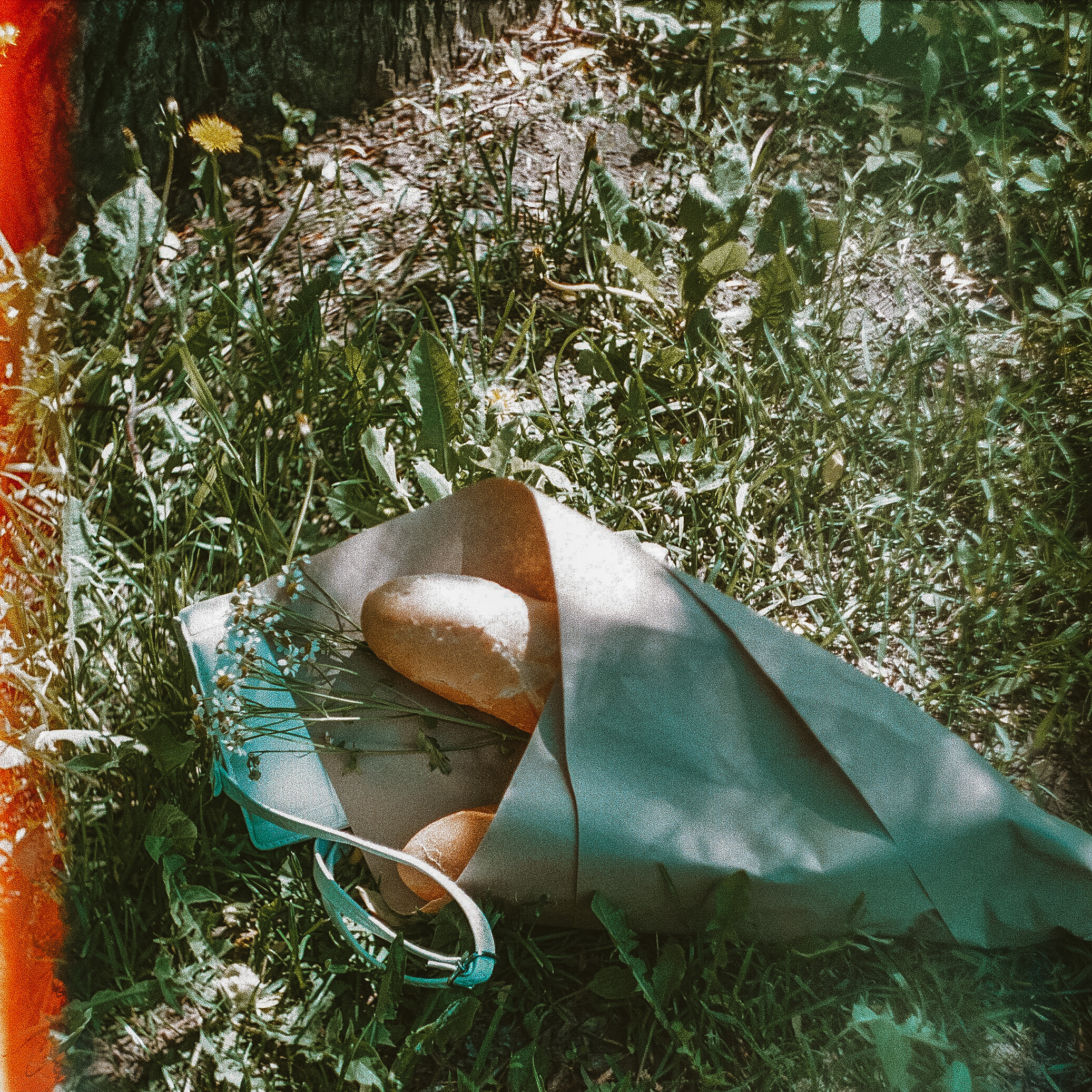 Margo. Плёночный фотограф в Санкт-Петербурге Шафикова Элина